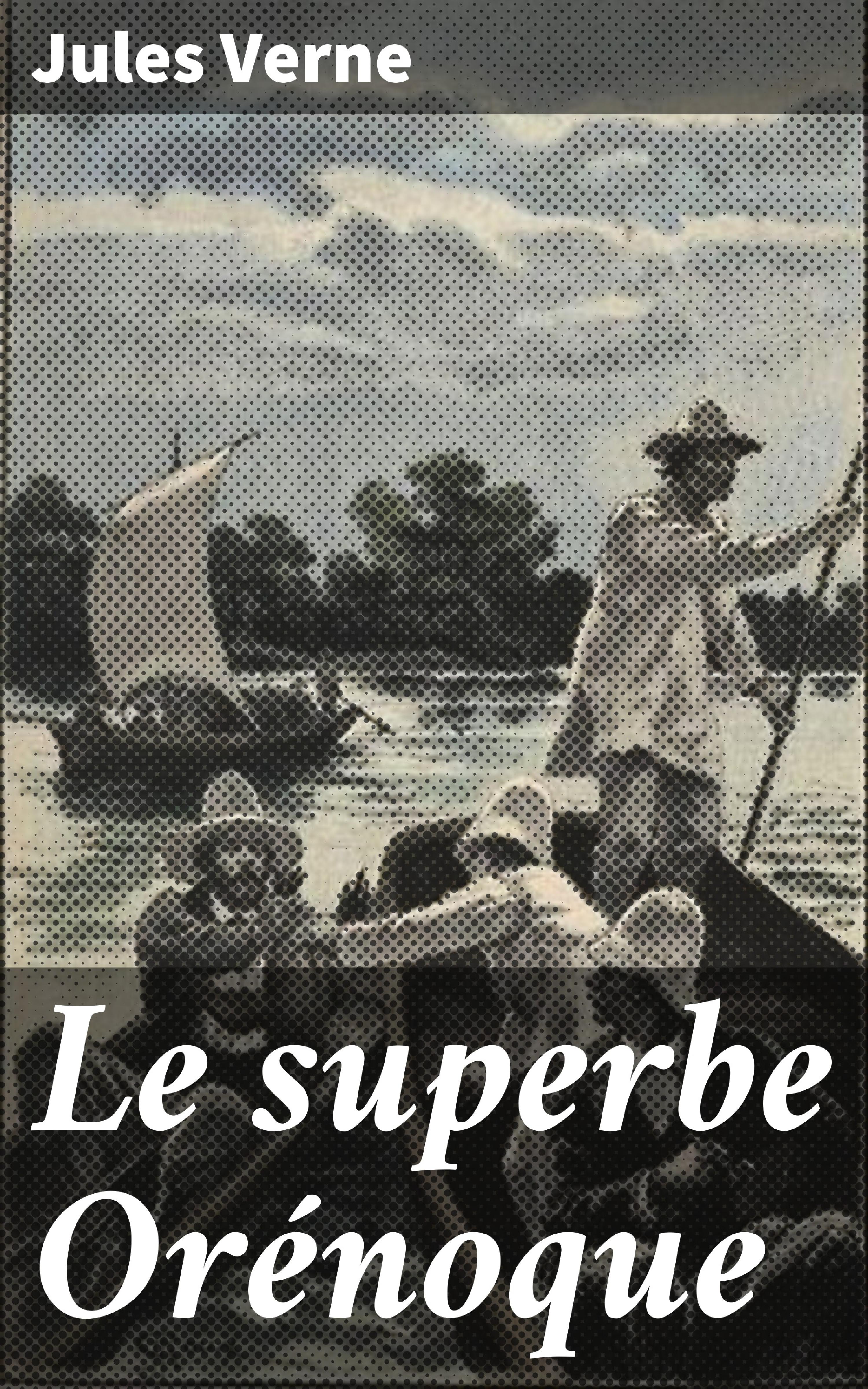 Обложка книги «Le superbe Orénoque»