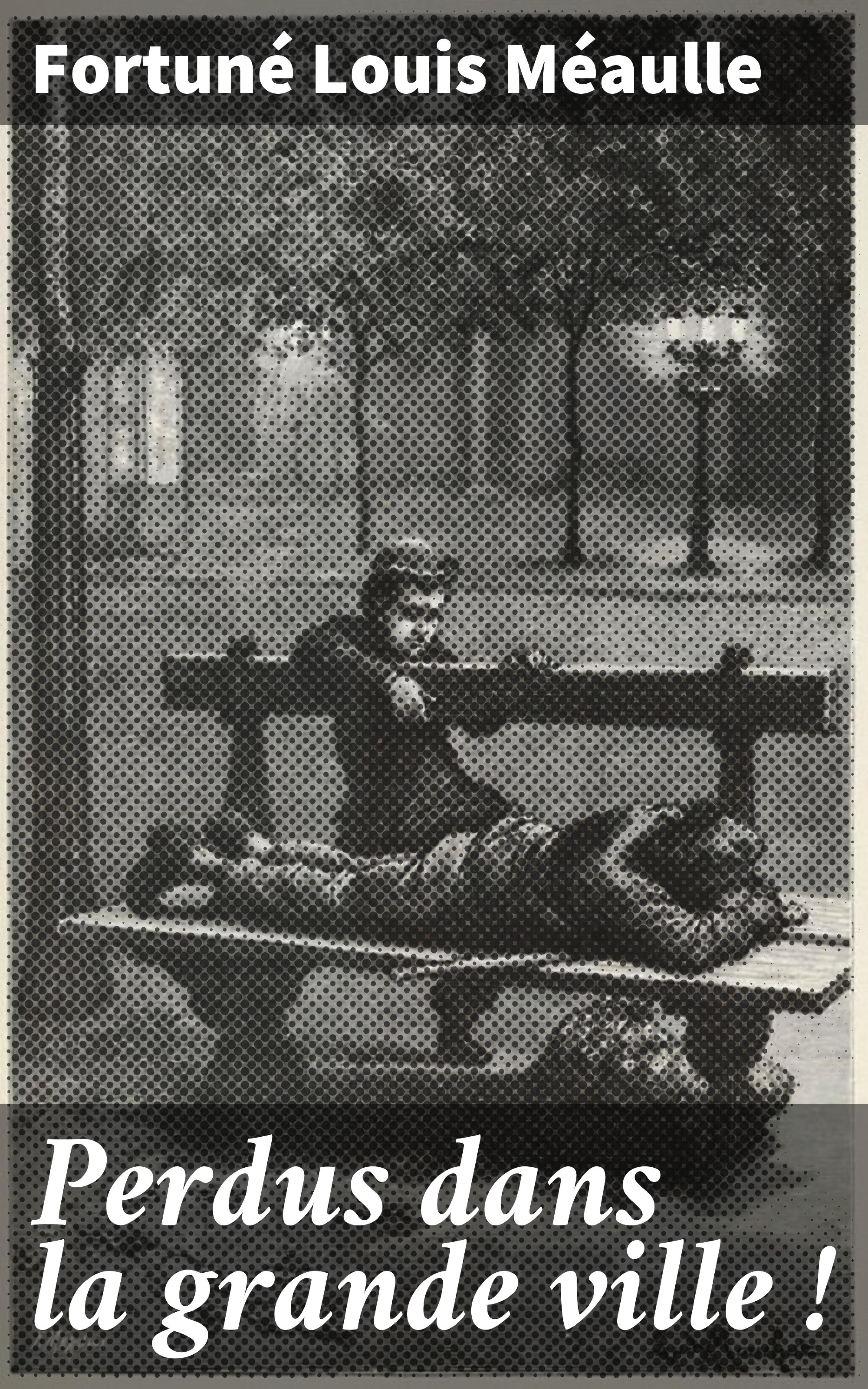 Обложка книги «Perdus dans la grande ville !»