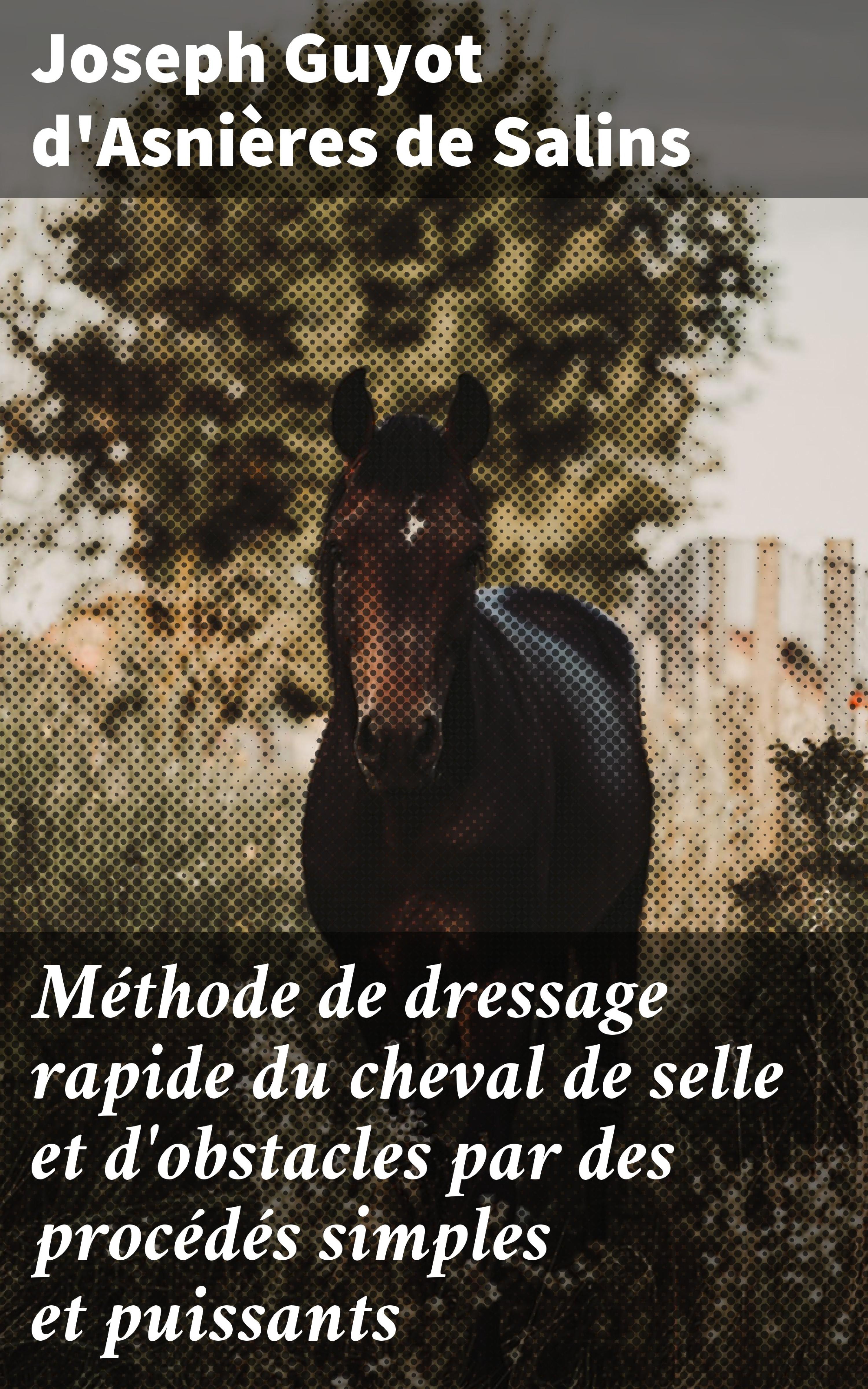 Обложка книги «Méthode de dressage rapide du cheval de selle et d'obstacles par des procédés simples et puissants»