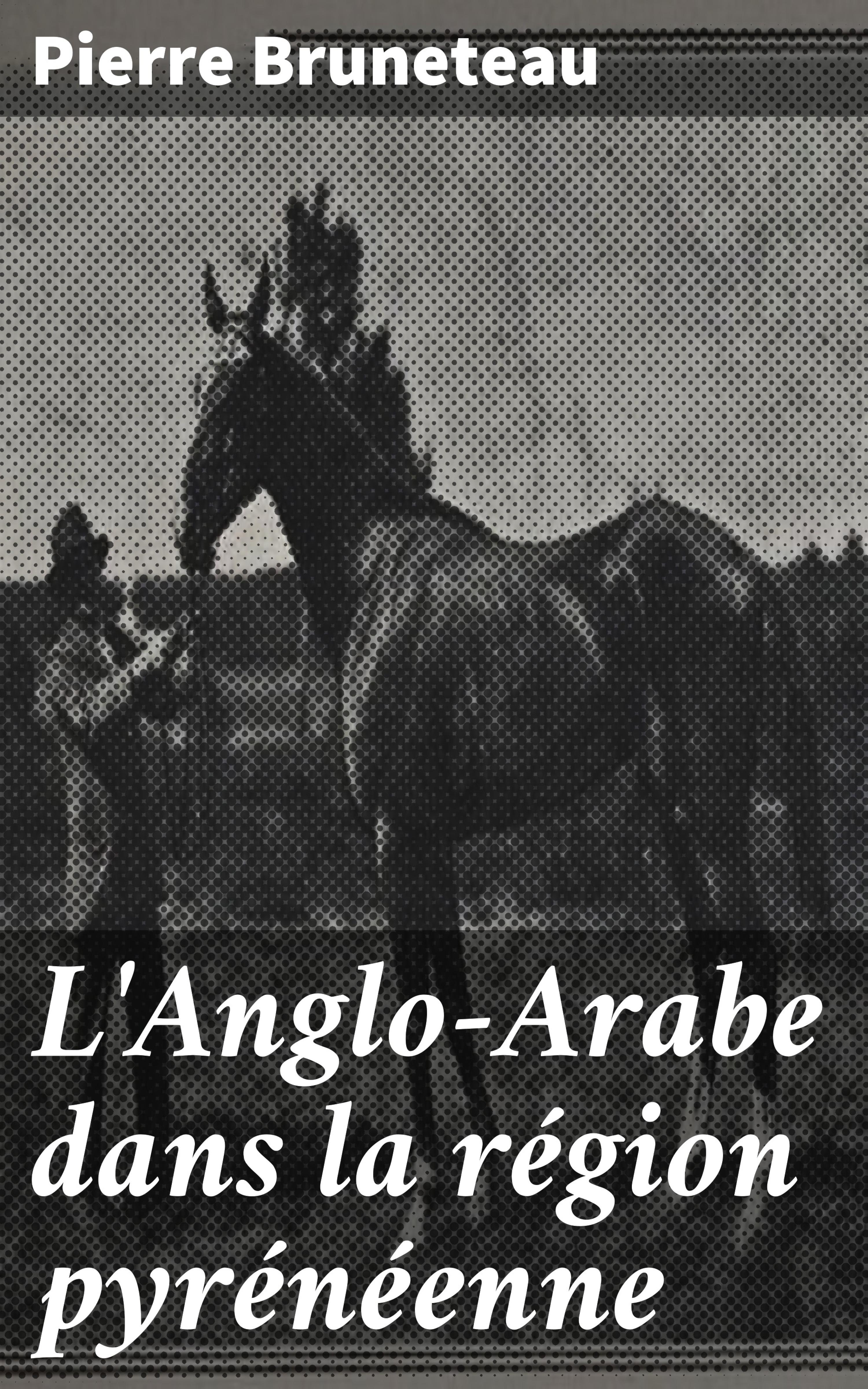 Обложка книги «L'Anglo-Arabe dans la région pyrénéenne»