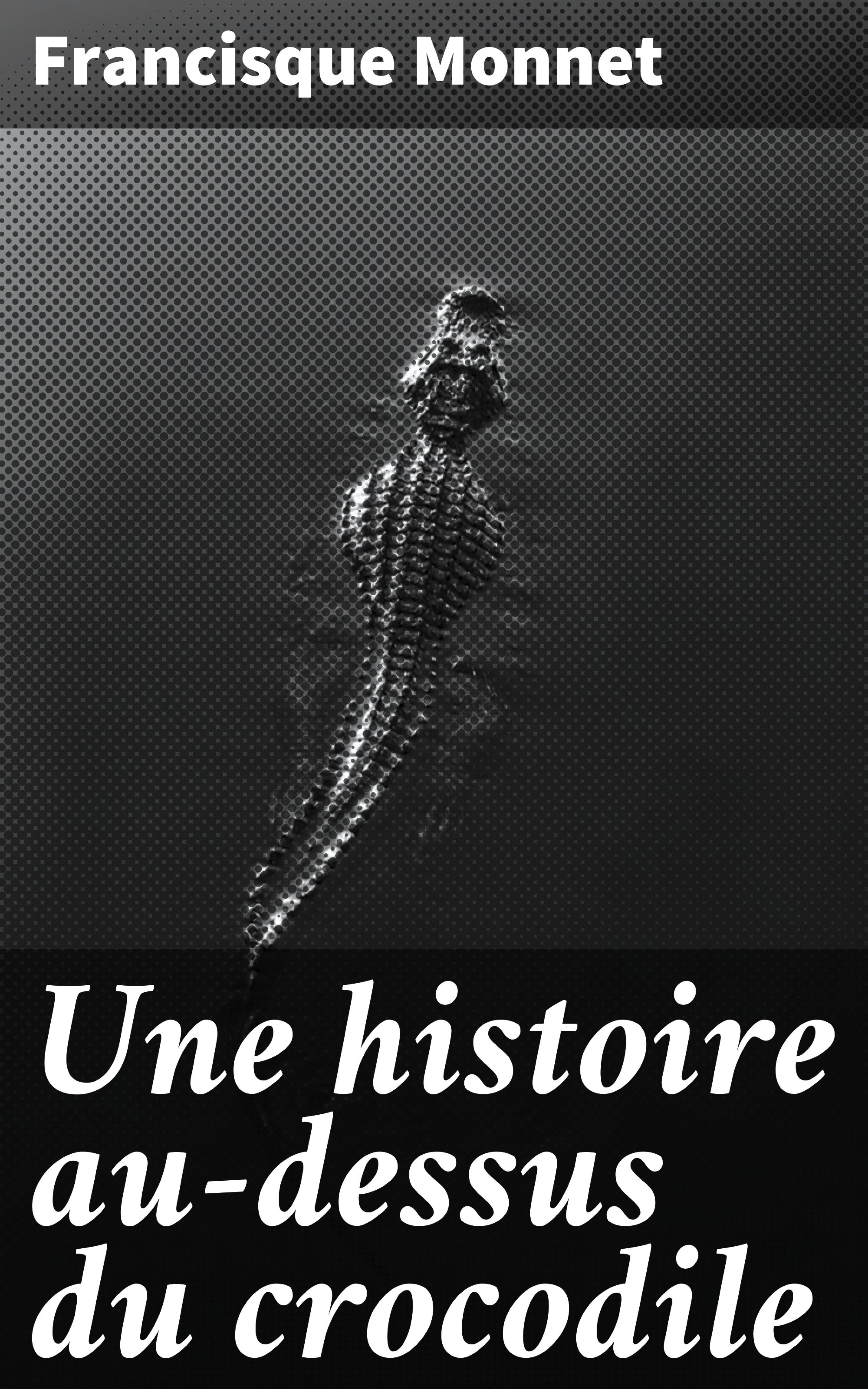 Обложка книги «Une histoire au-dessus du crocodile»