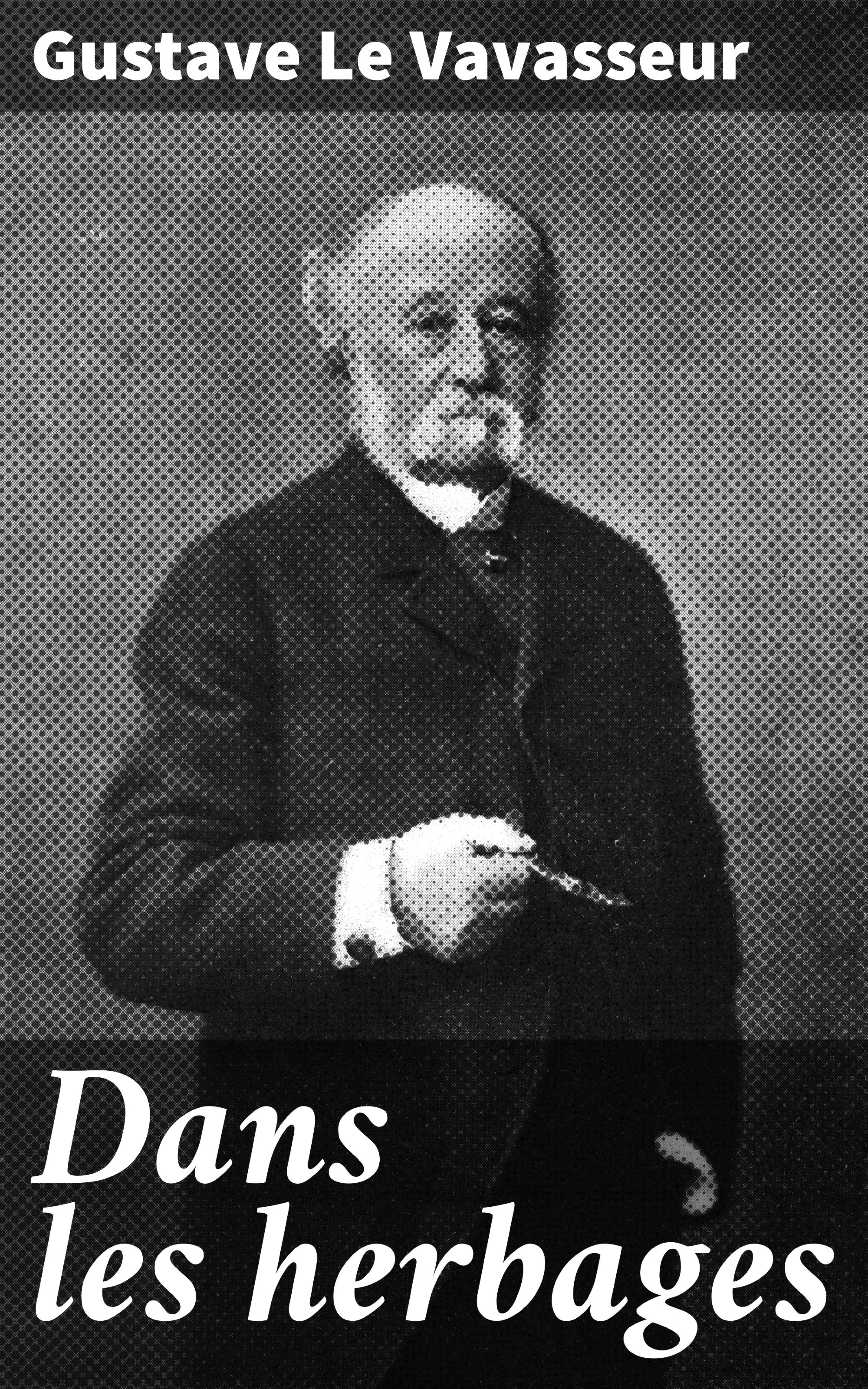 Обложка книги «Dans les herbages»