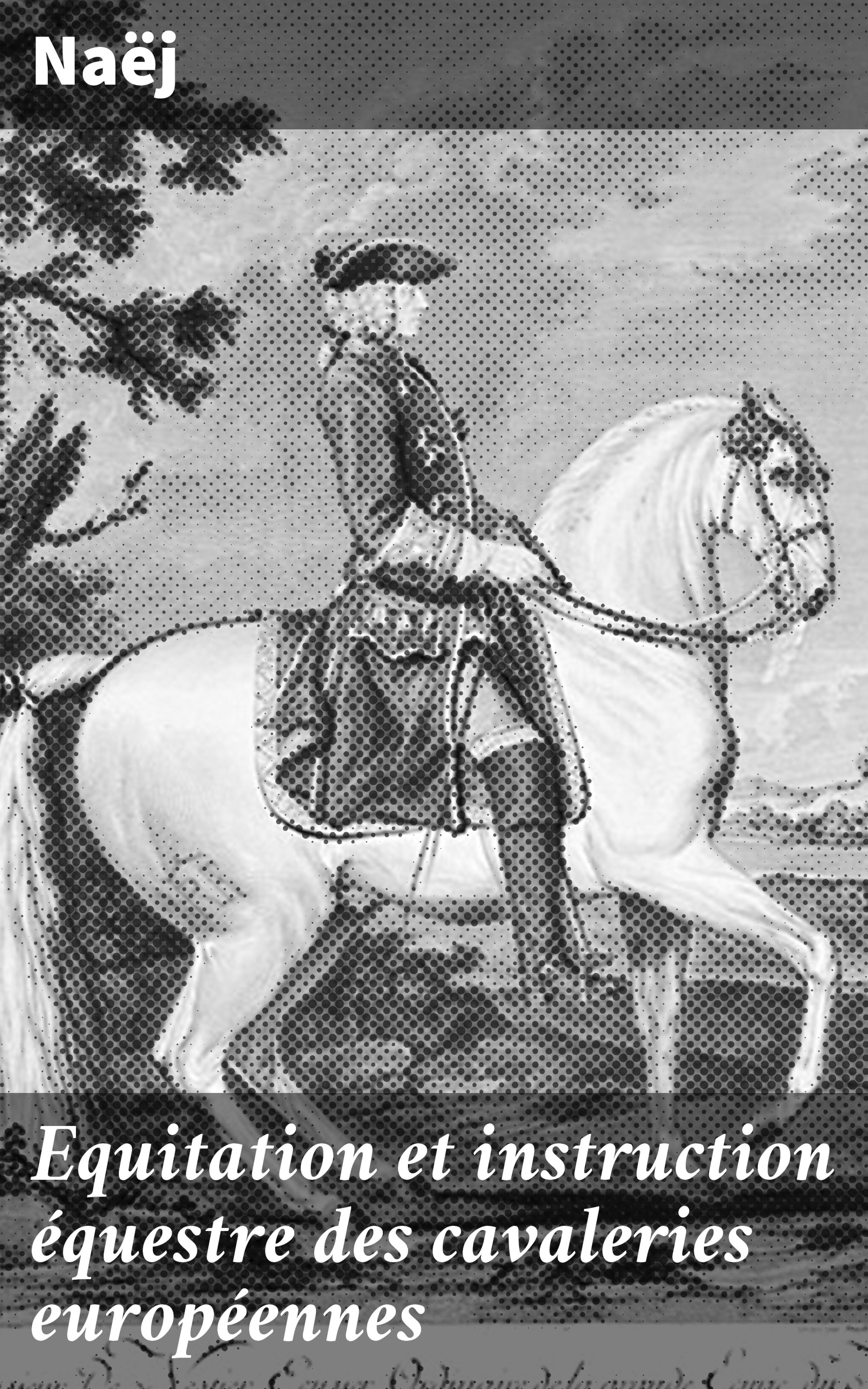 Обложка книги «Equitation et instruction équestre des cavaleries européennes»