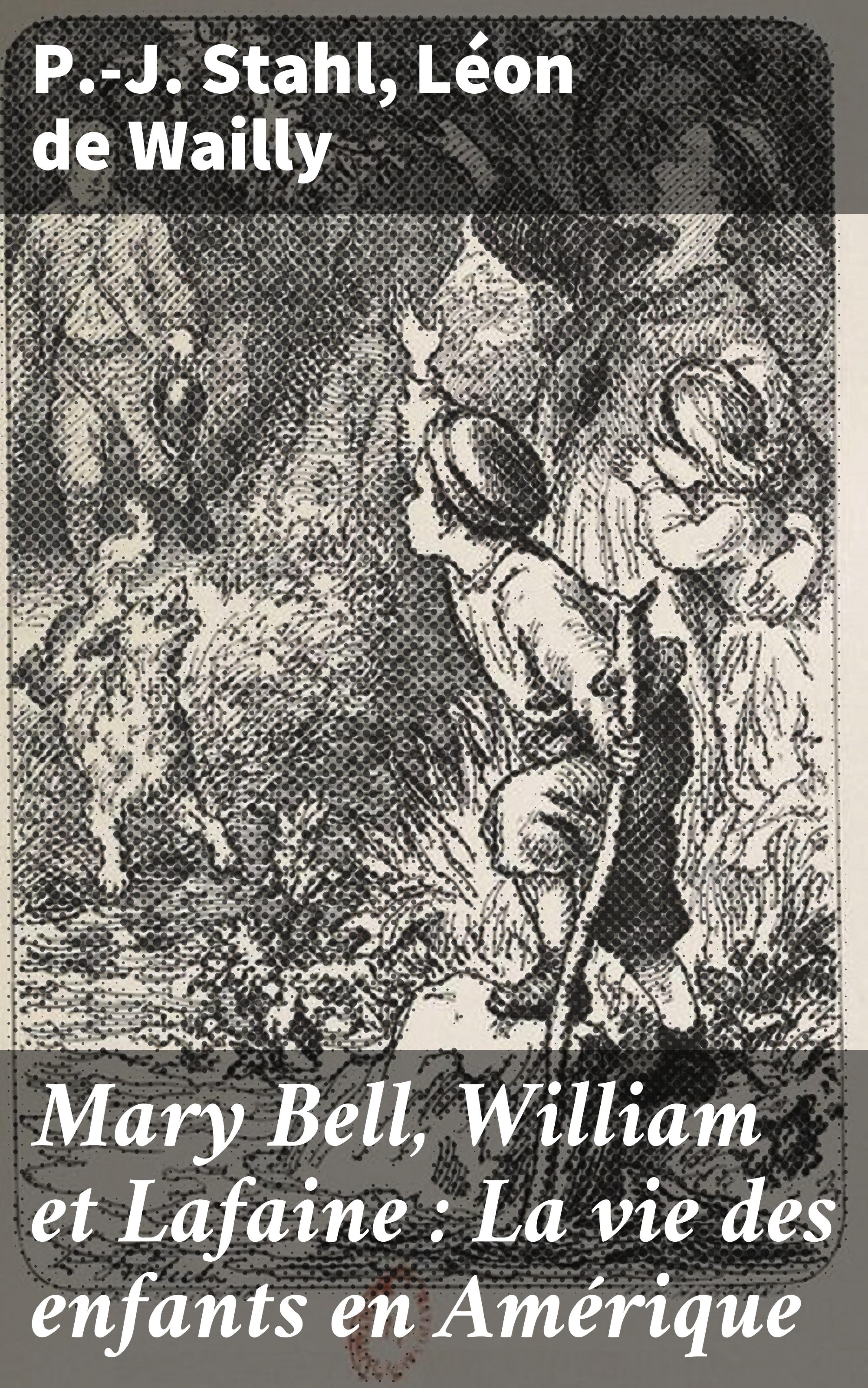 Обложка книги «Mary Bell, William et Lafaine : La vie des enfants en Amérique»