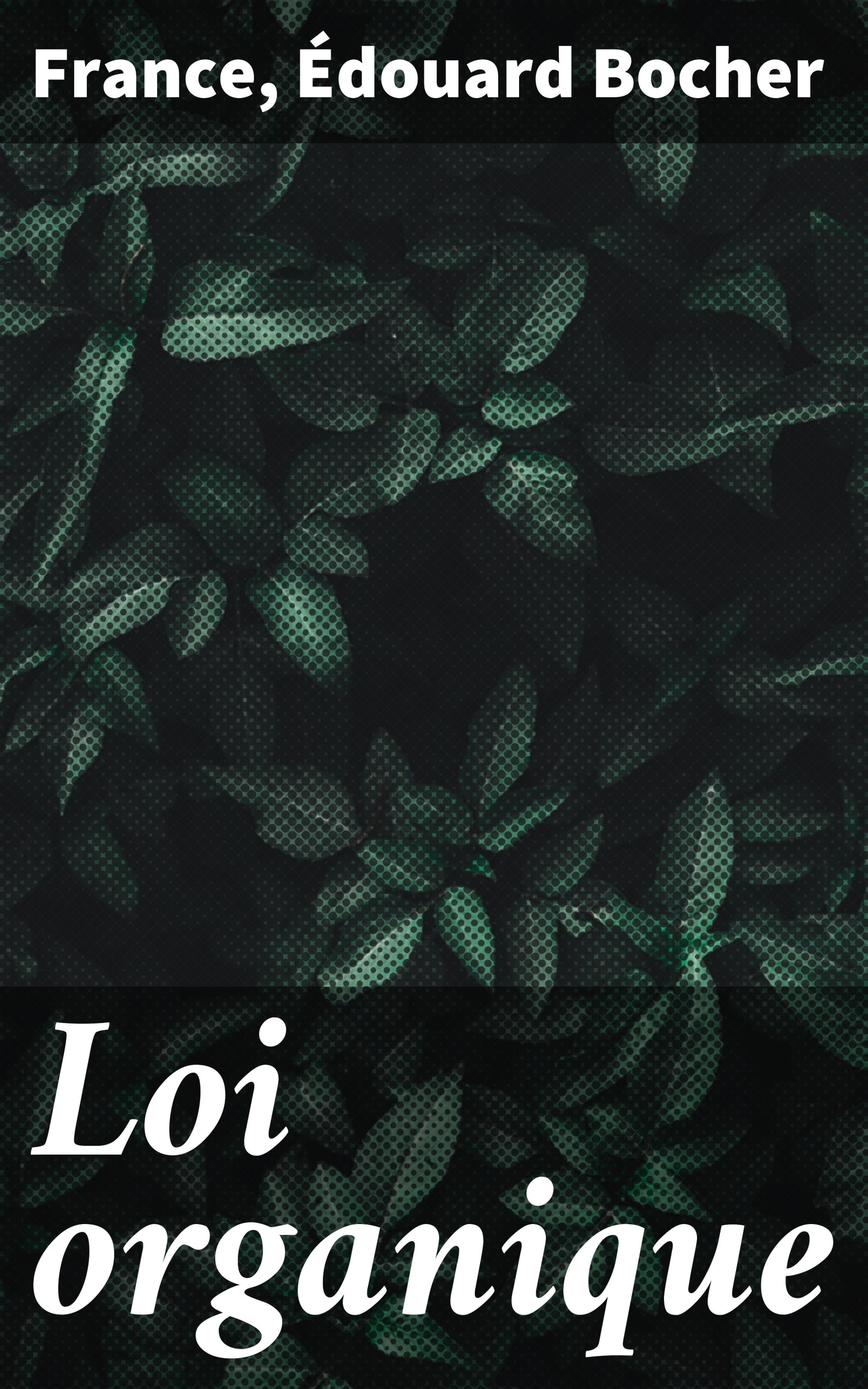 Обложка книги «Loi organique»