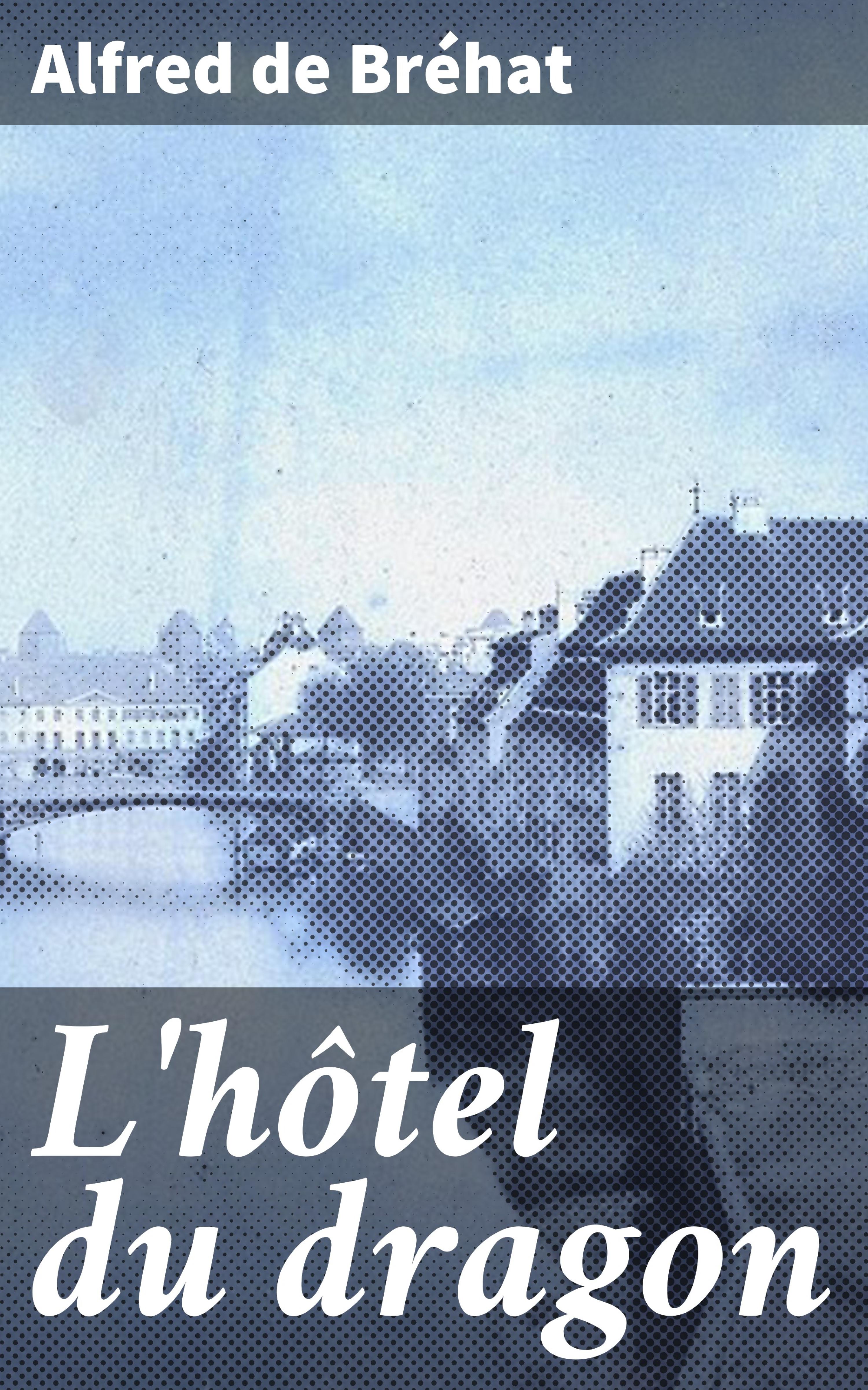 Обложка книги «L'hôtel du dragon»