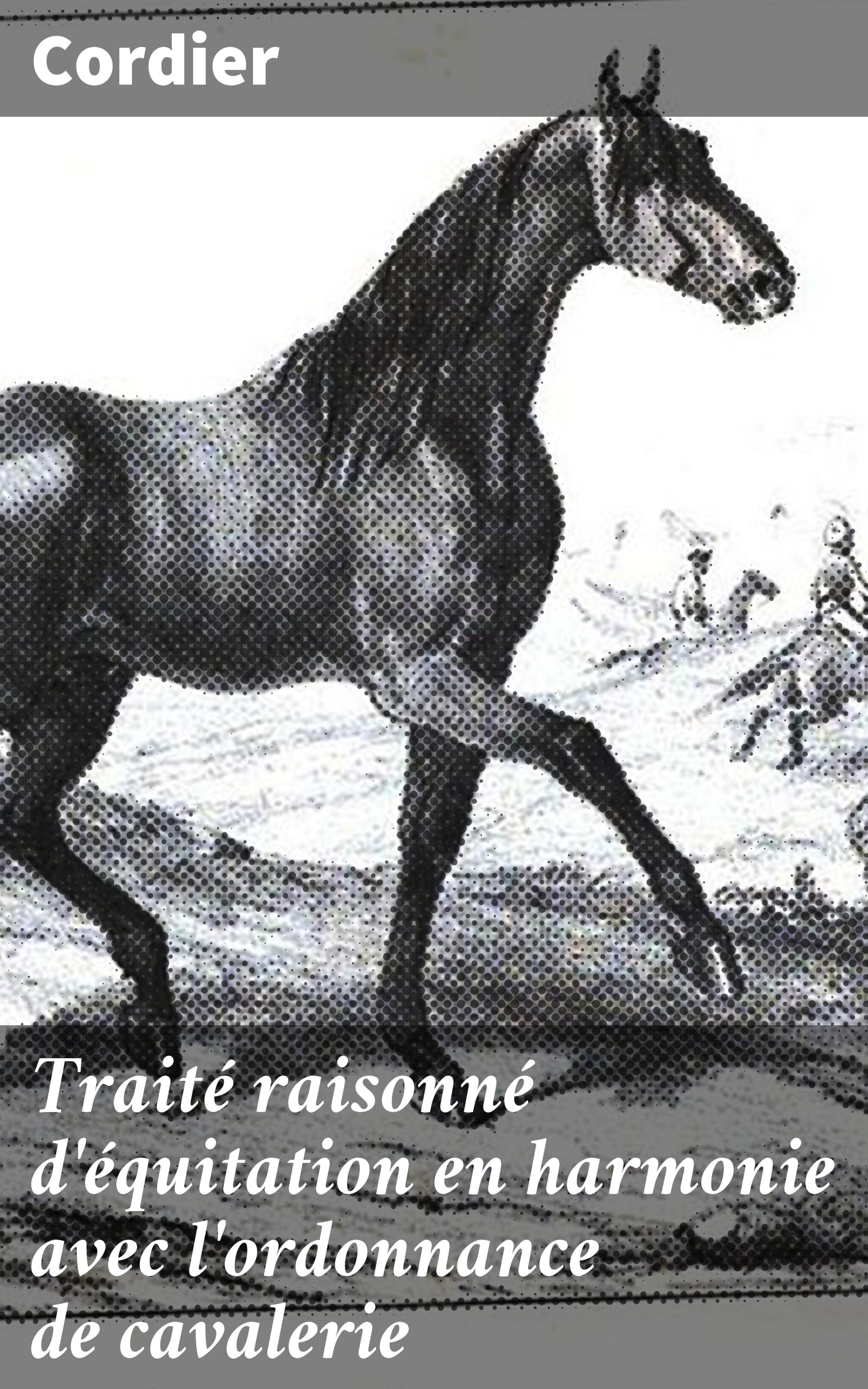 Обложка книги «Traité raisonné d'équitation en harmonie avec l'ordonnance de cavalerie»