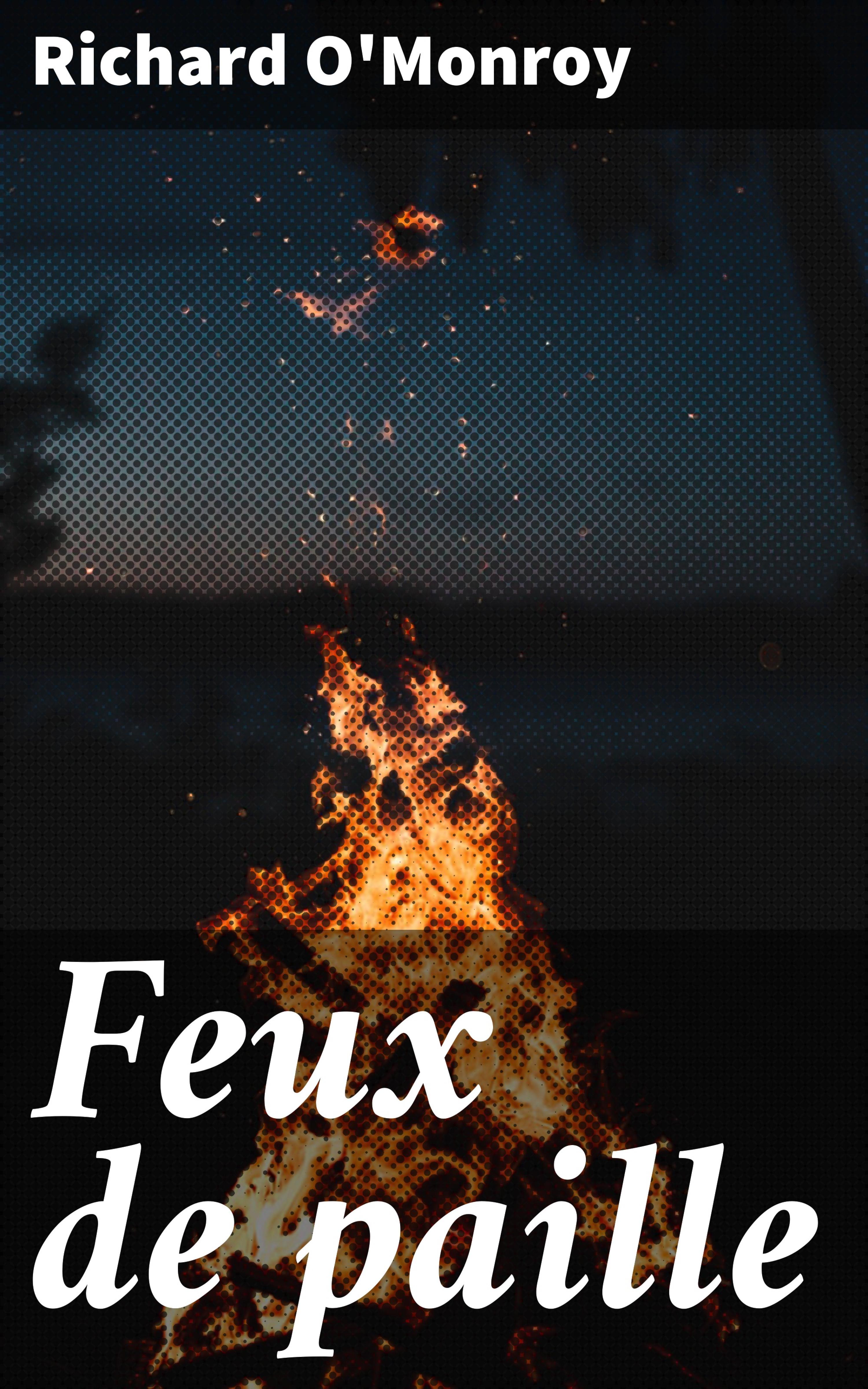 Обложка книги «Feux de paille»