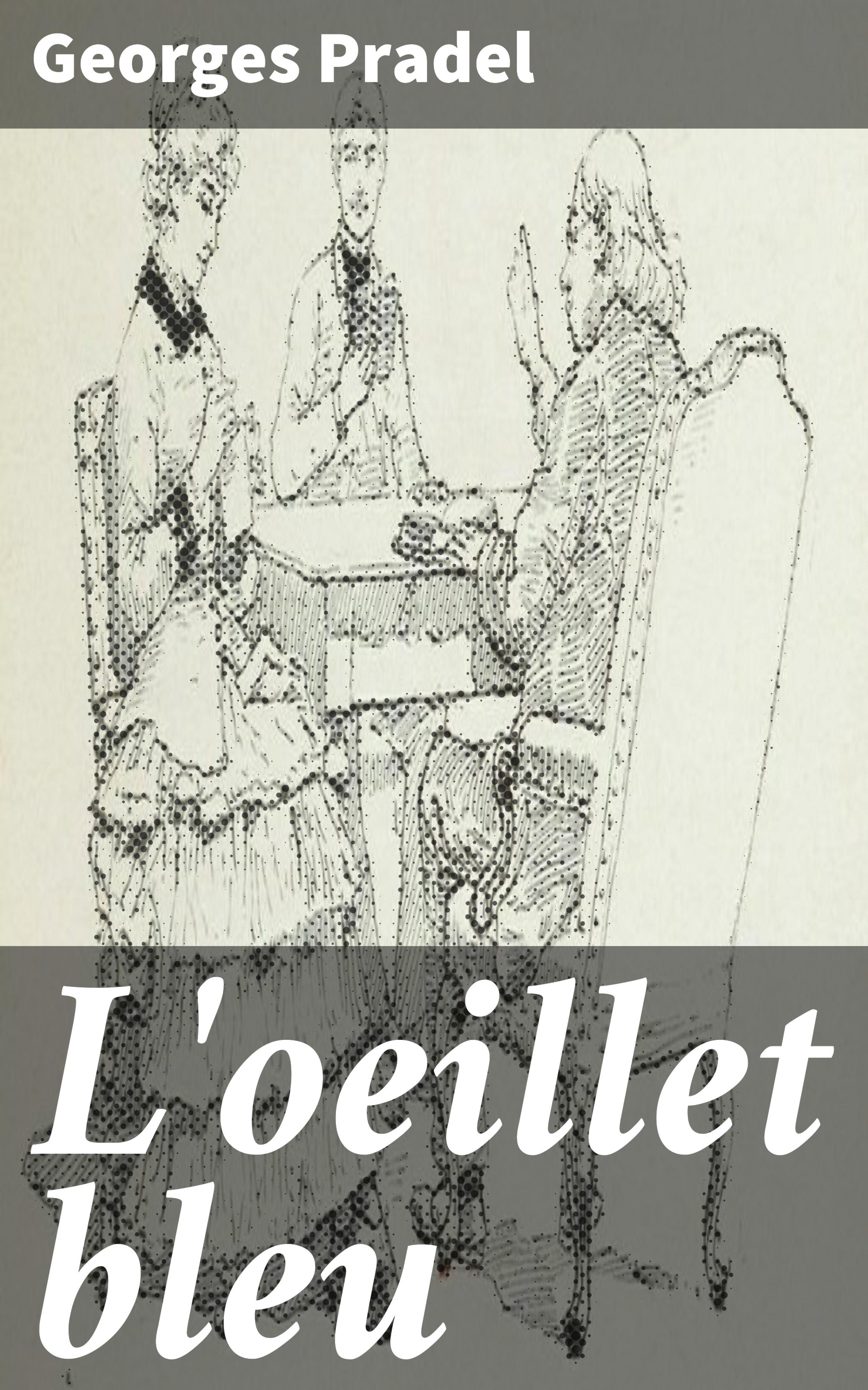 Обложка книги «L'oeillet bleu»