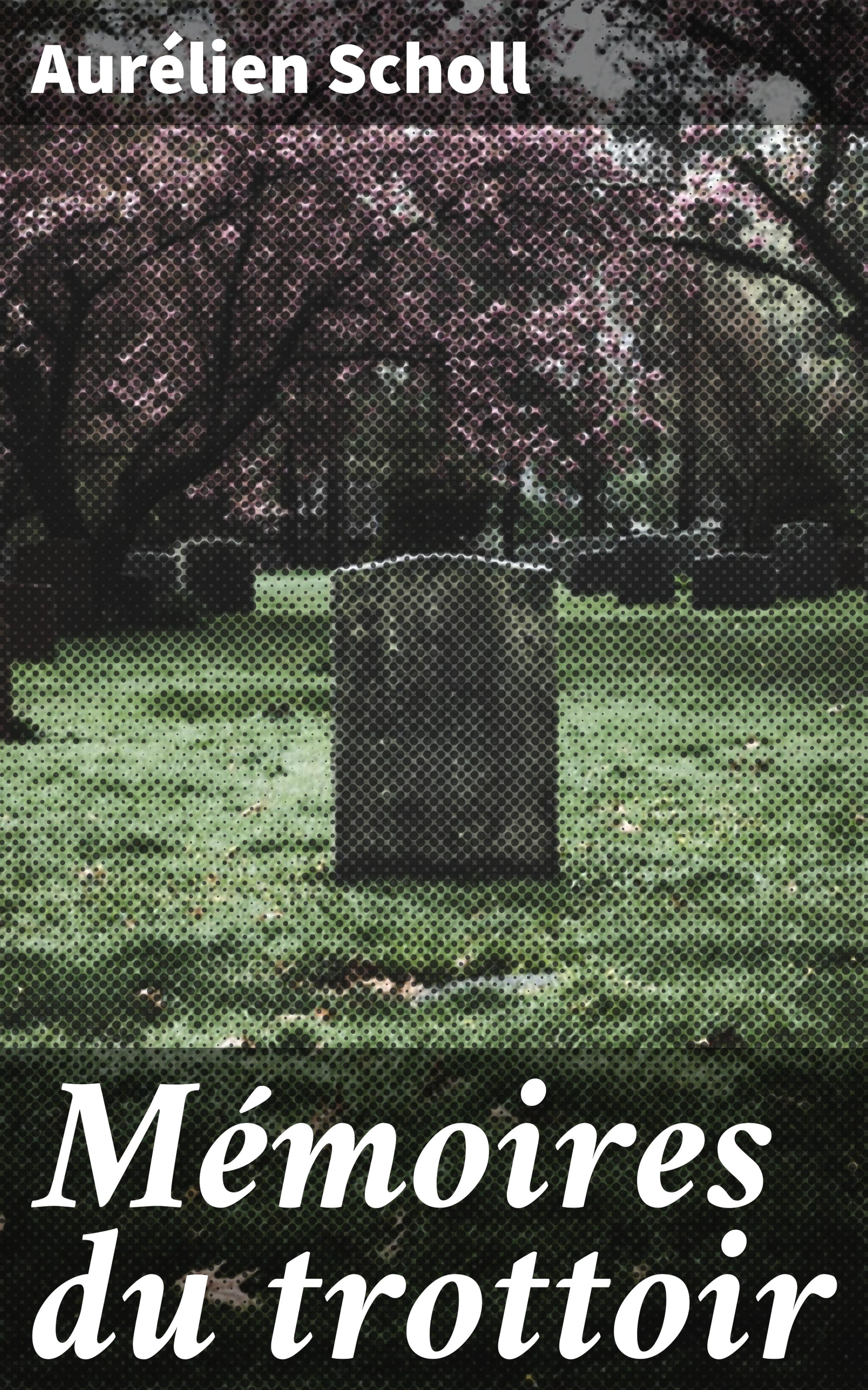 Обложка книги «Mémoires du trottoir»