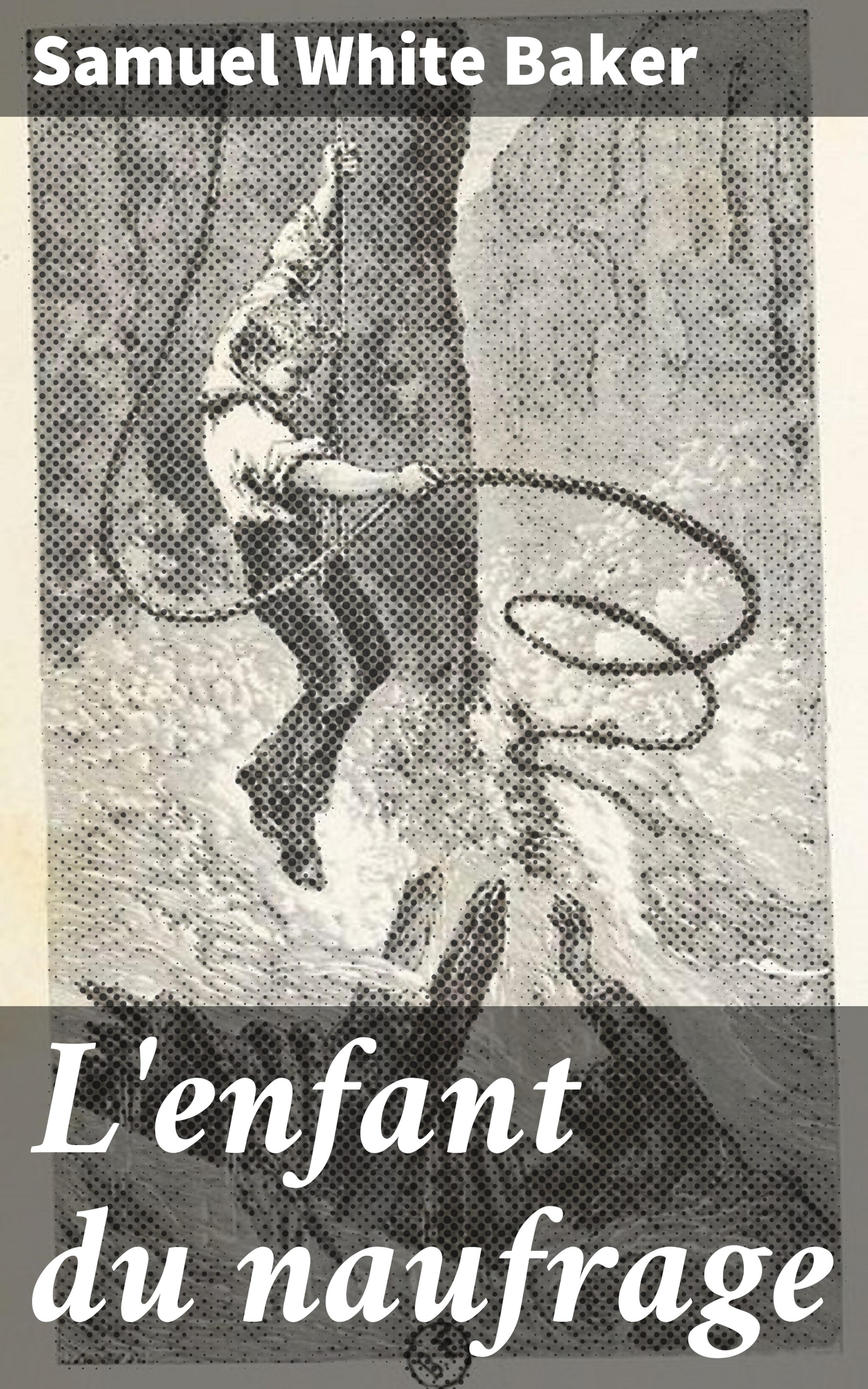 Обложка книги «L'enfant du naufrage»