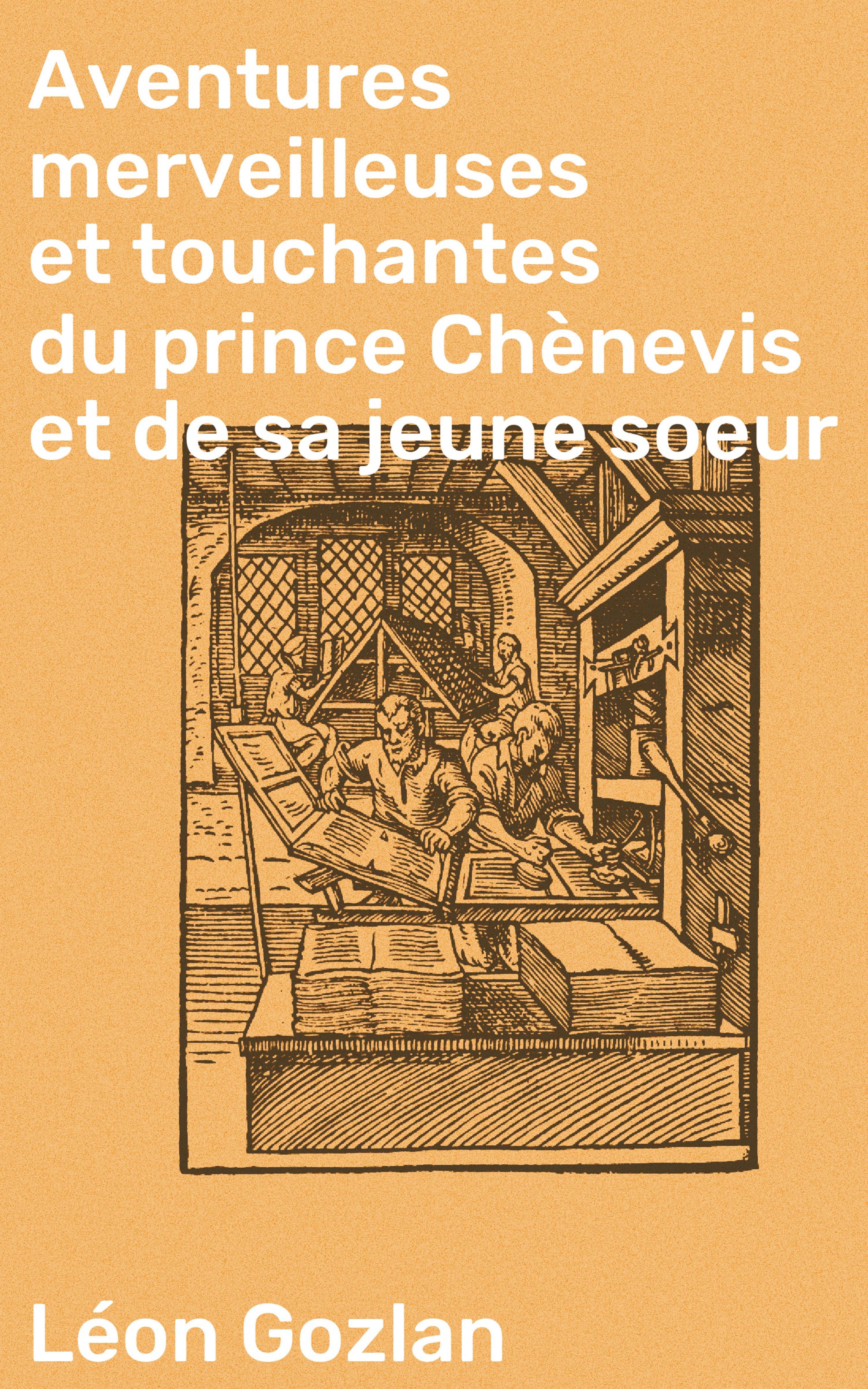 Обложка книги «Aventures merveilleuses et touchantes du prince Chènevis et de sa jeune soeur»