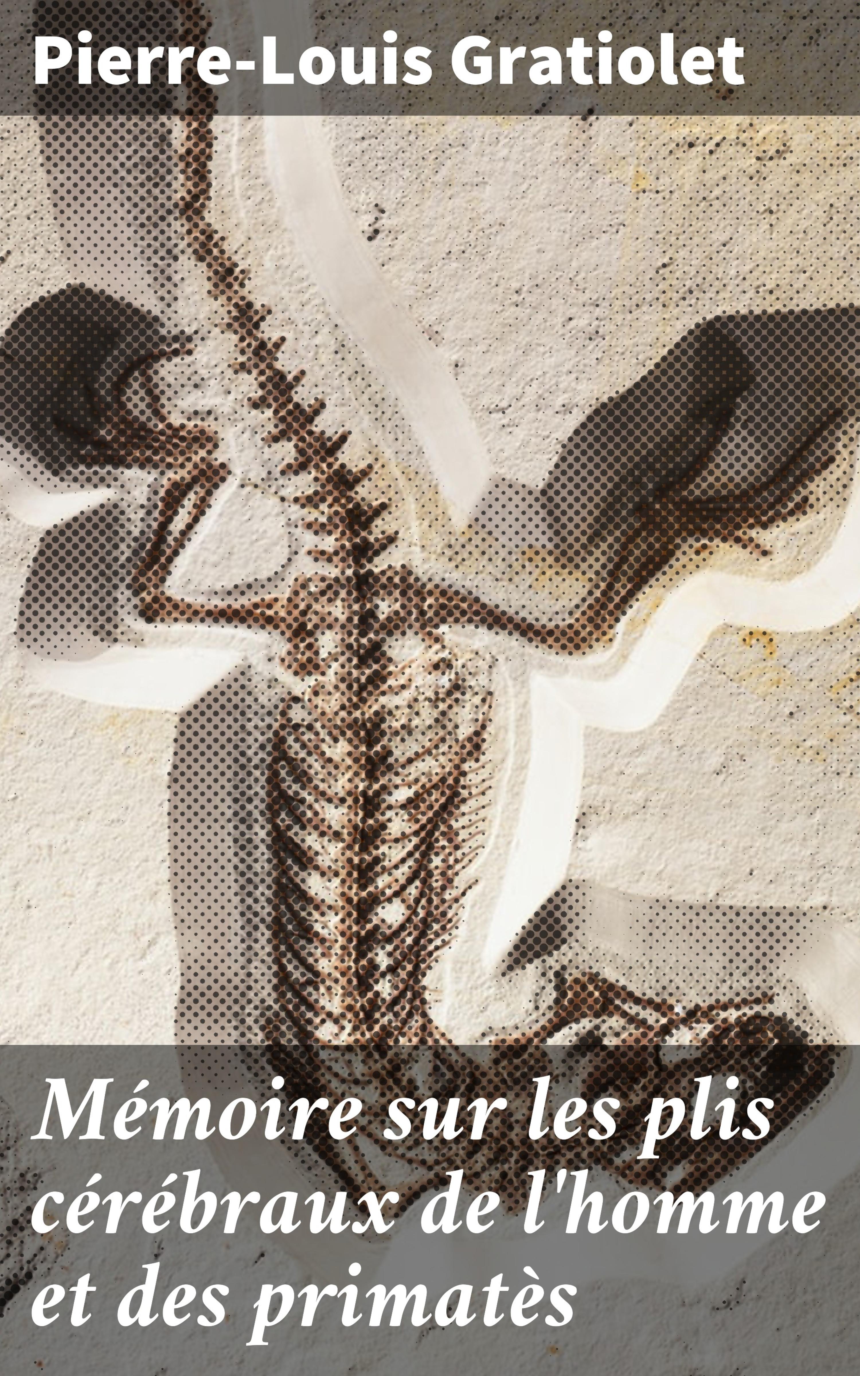 Обложка книги «Mémoire sur les plis cérébraux de l'homme et des primatès»