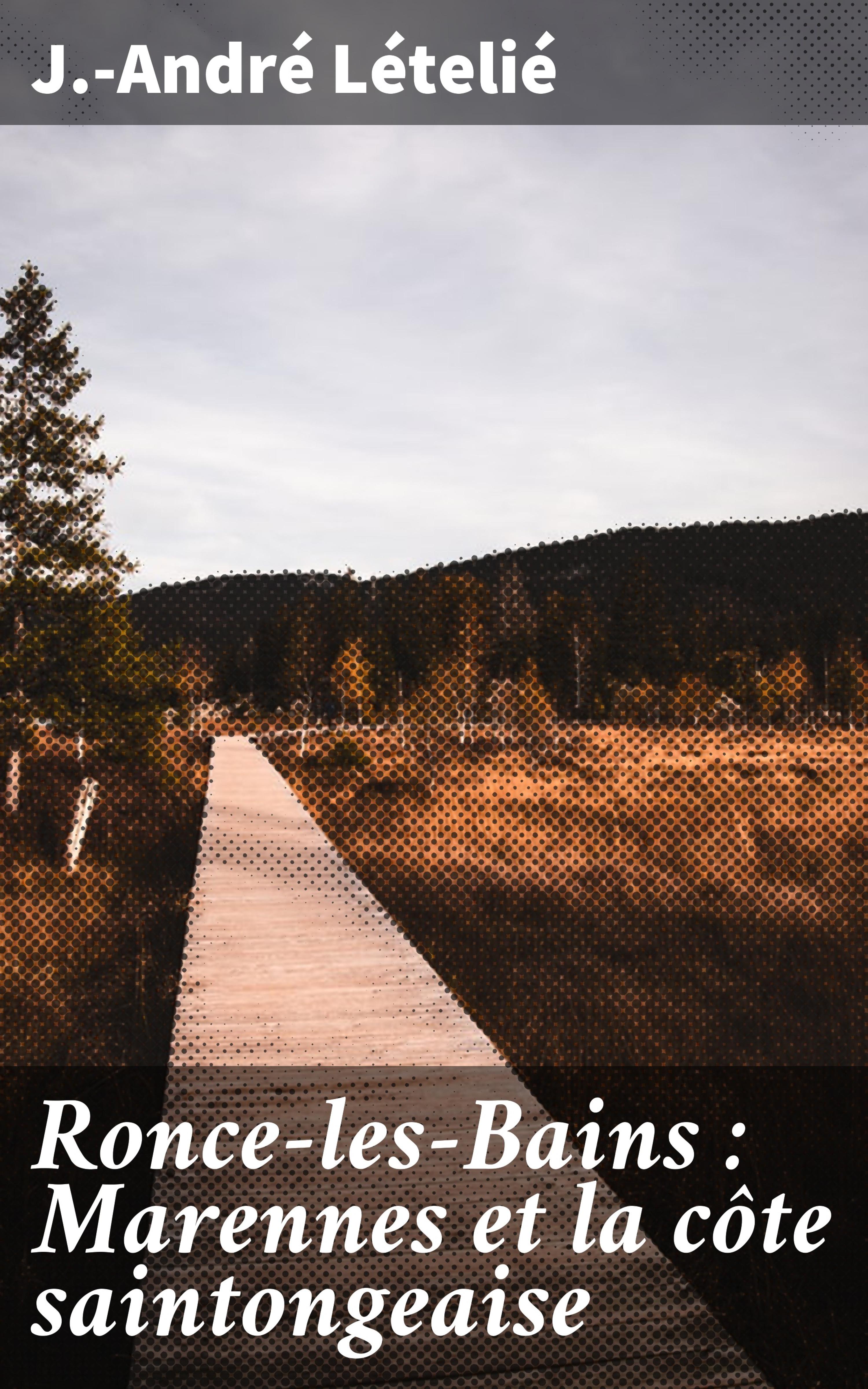 Обложка книги «Ronce-les-Bains : Marennes et la côte saintongeaise»