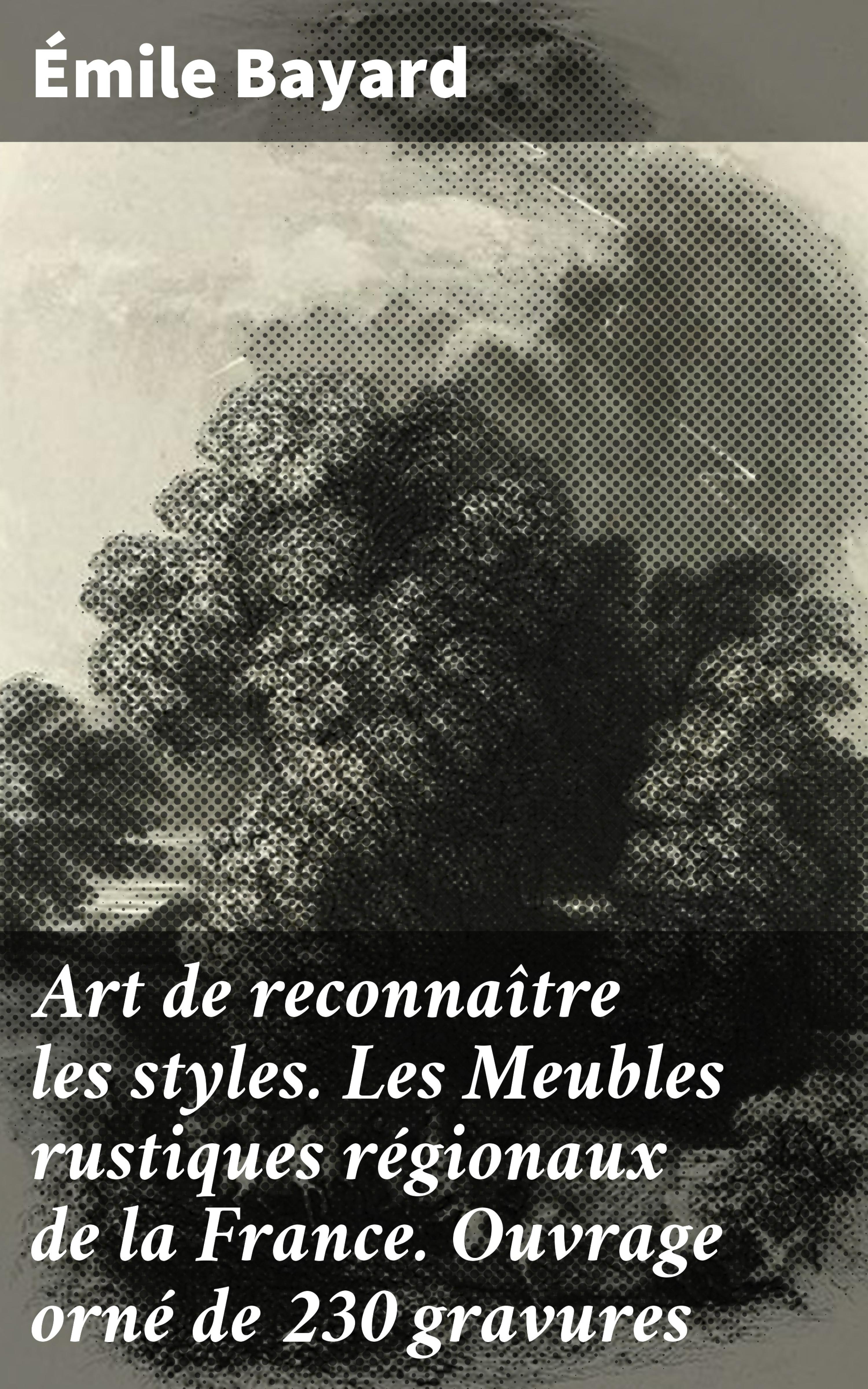 Обложка книги «Art de reconnaître les styles. Les Meubles rustiques régionaux de la France. Ouvrage orné de 230 gravures»