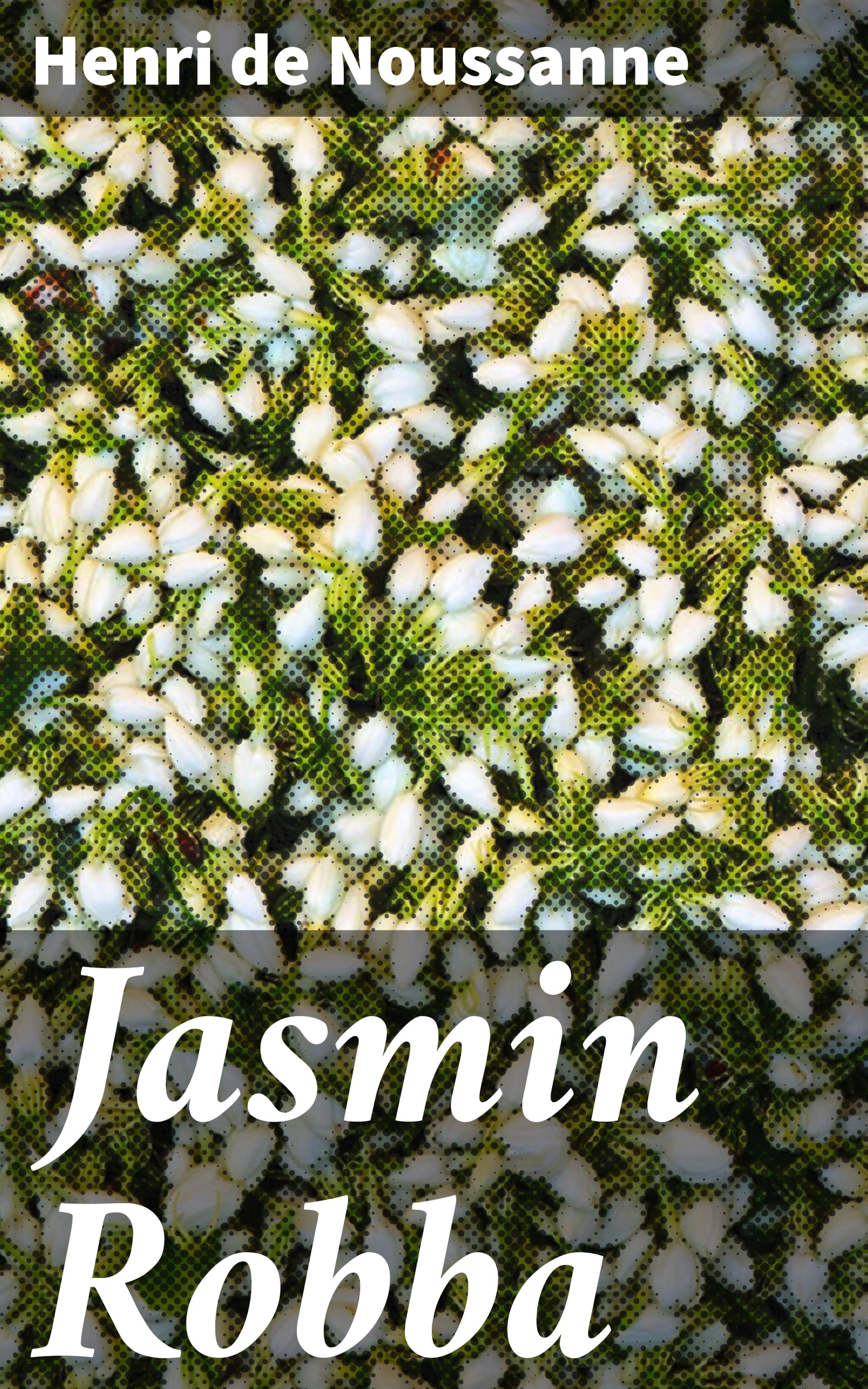 Обложка книги «Jasmin Robba»