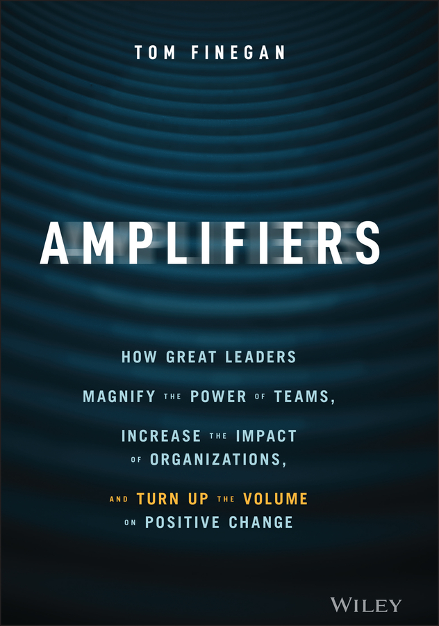 Обложка книги «Amplifiers»