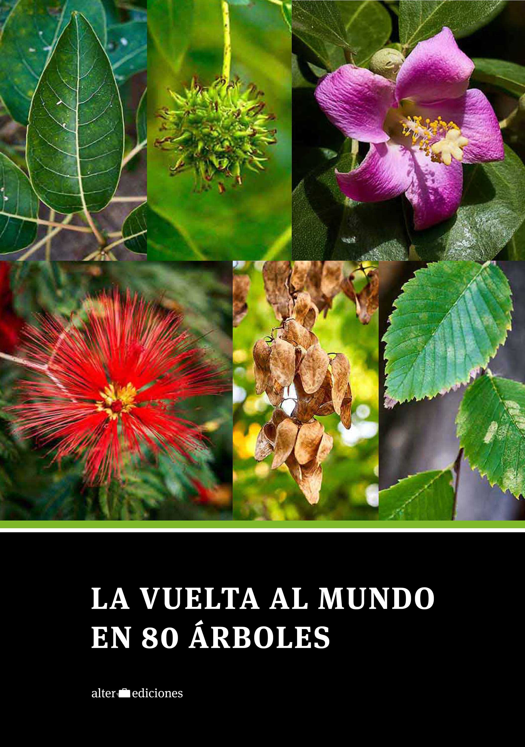 Обложка книги «La vuelta al mundo en 80 árboles»