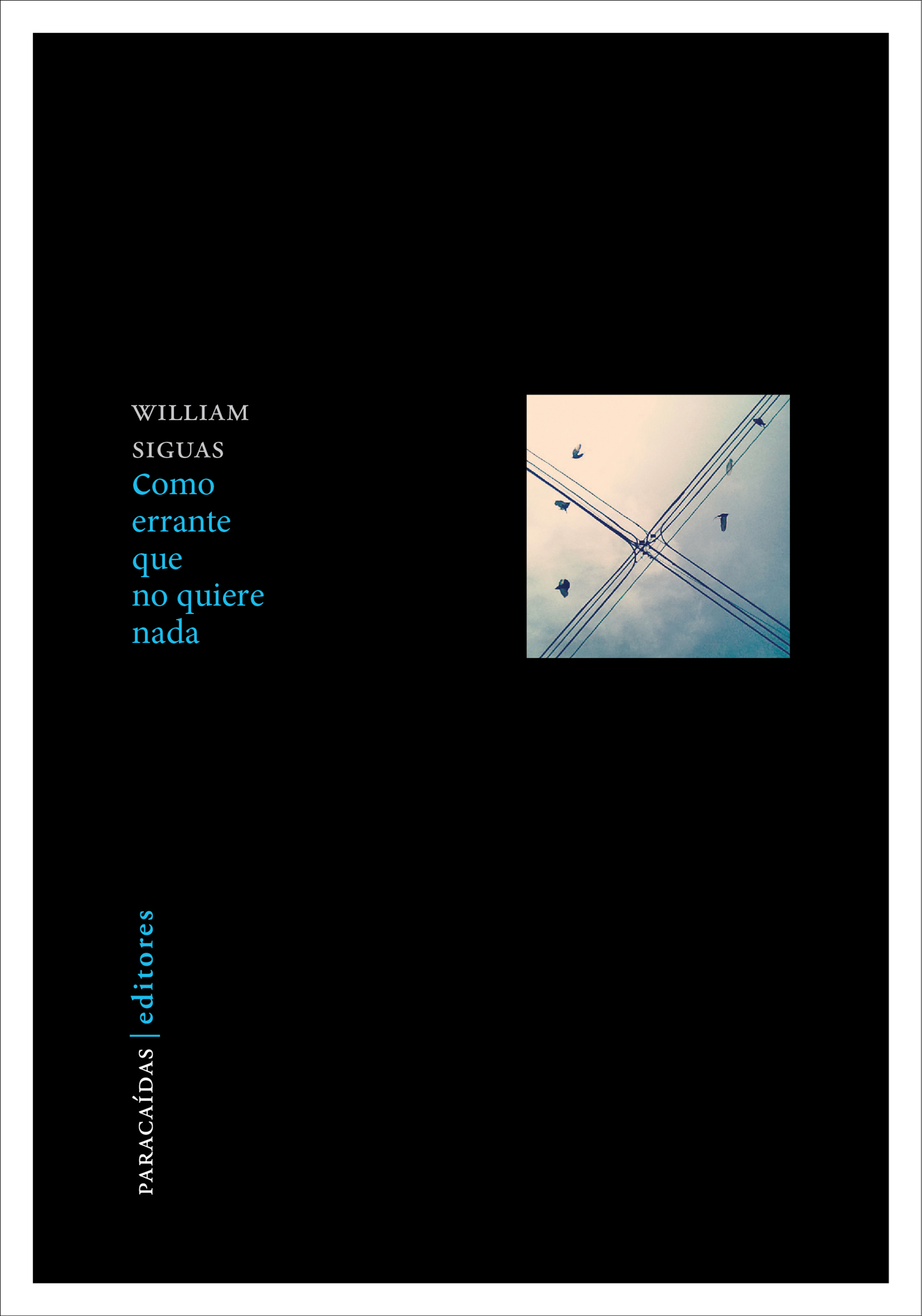 Обложка книги «Como errante que no quiere nada»
