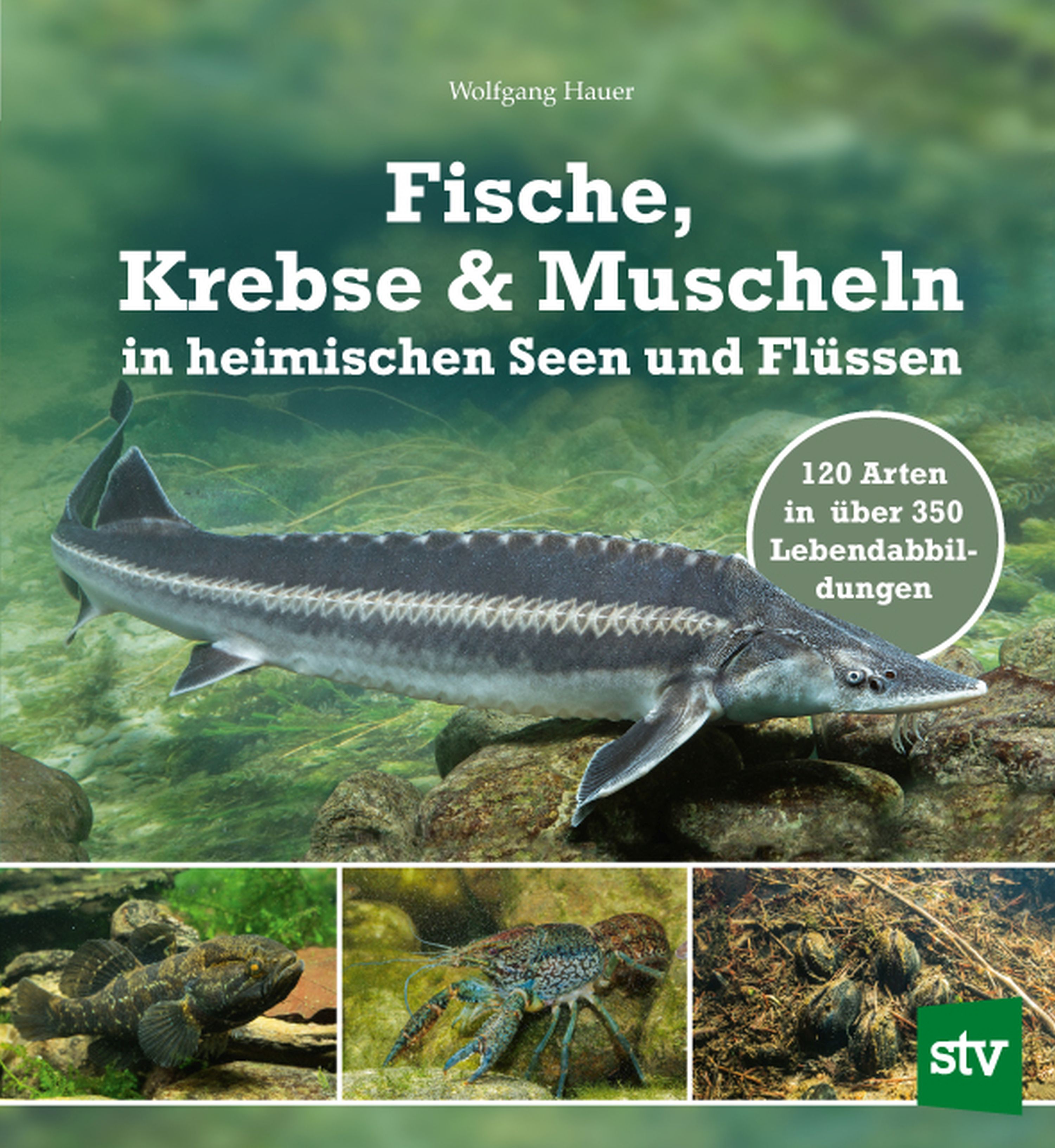 Обложка книги «Fische, Krebse & Muscheln in heimischen Seen und Flüssen»