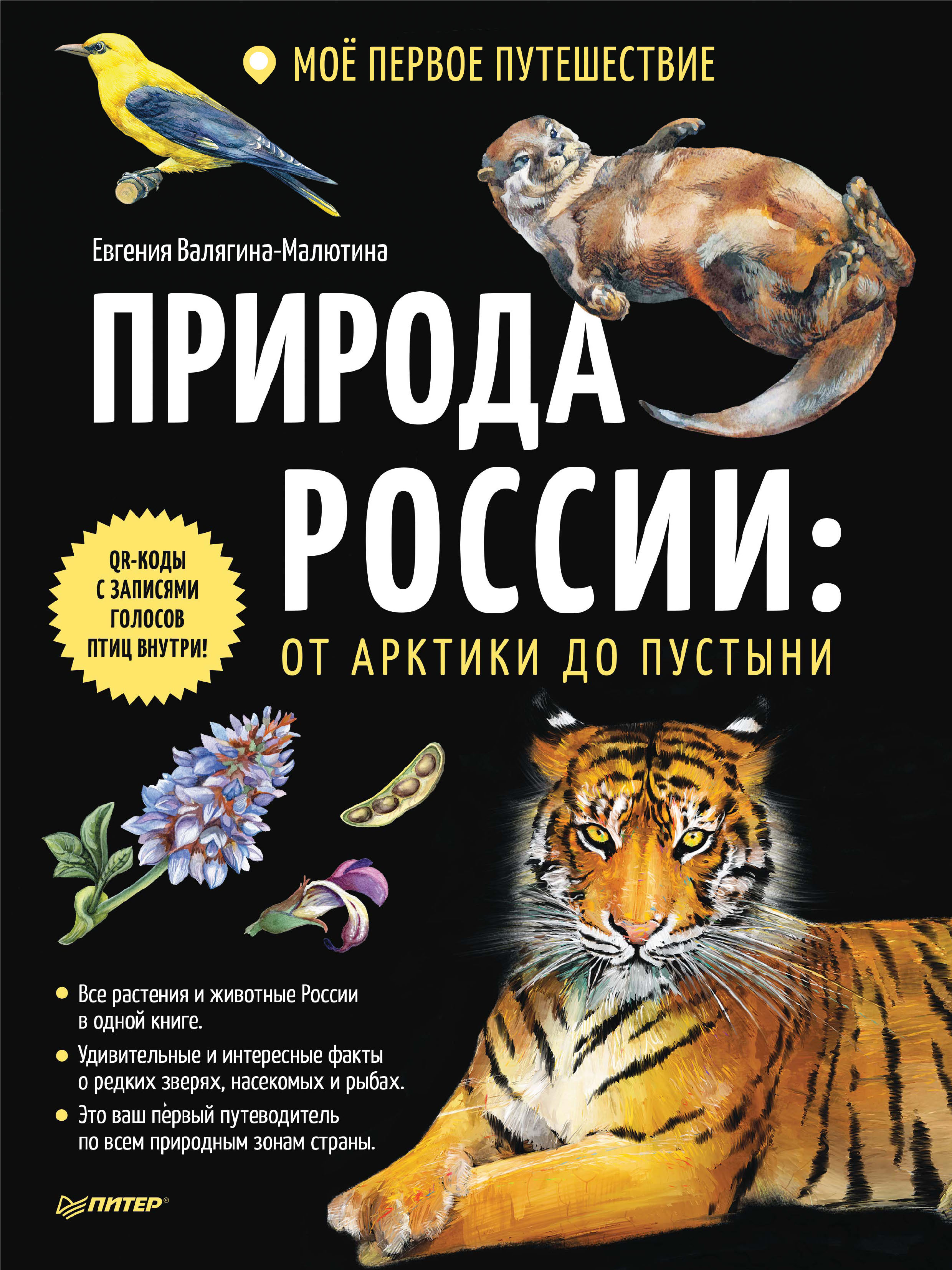 Обложка книги «Природа России: от Арктики до пустыни. Моё первое путешествие»