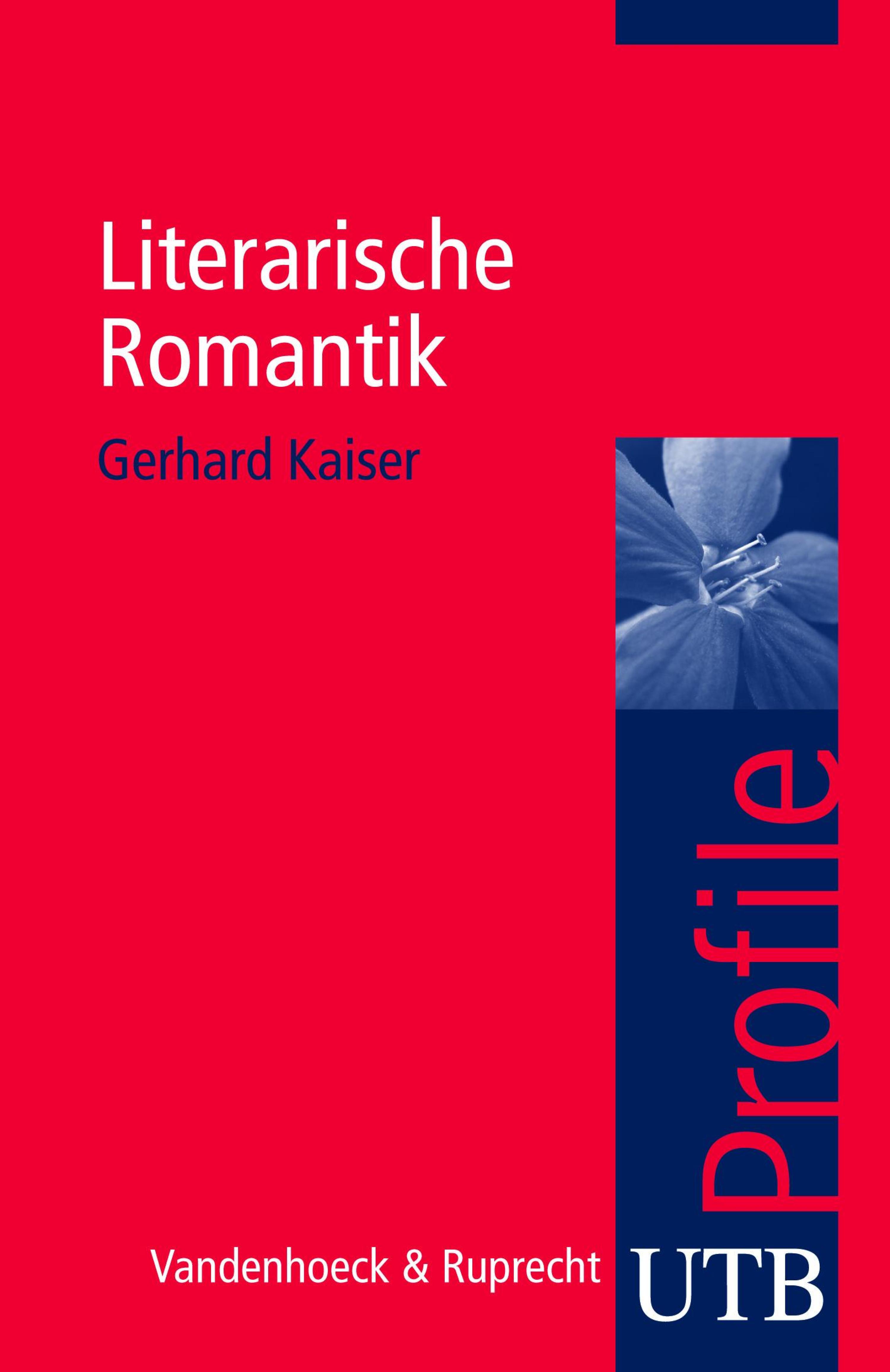 Обложка книги «Literarische Romantik»