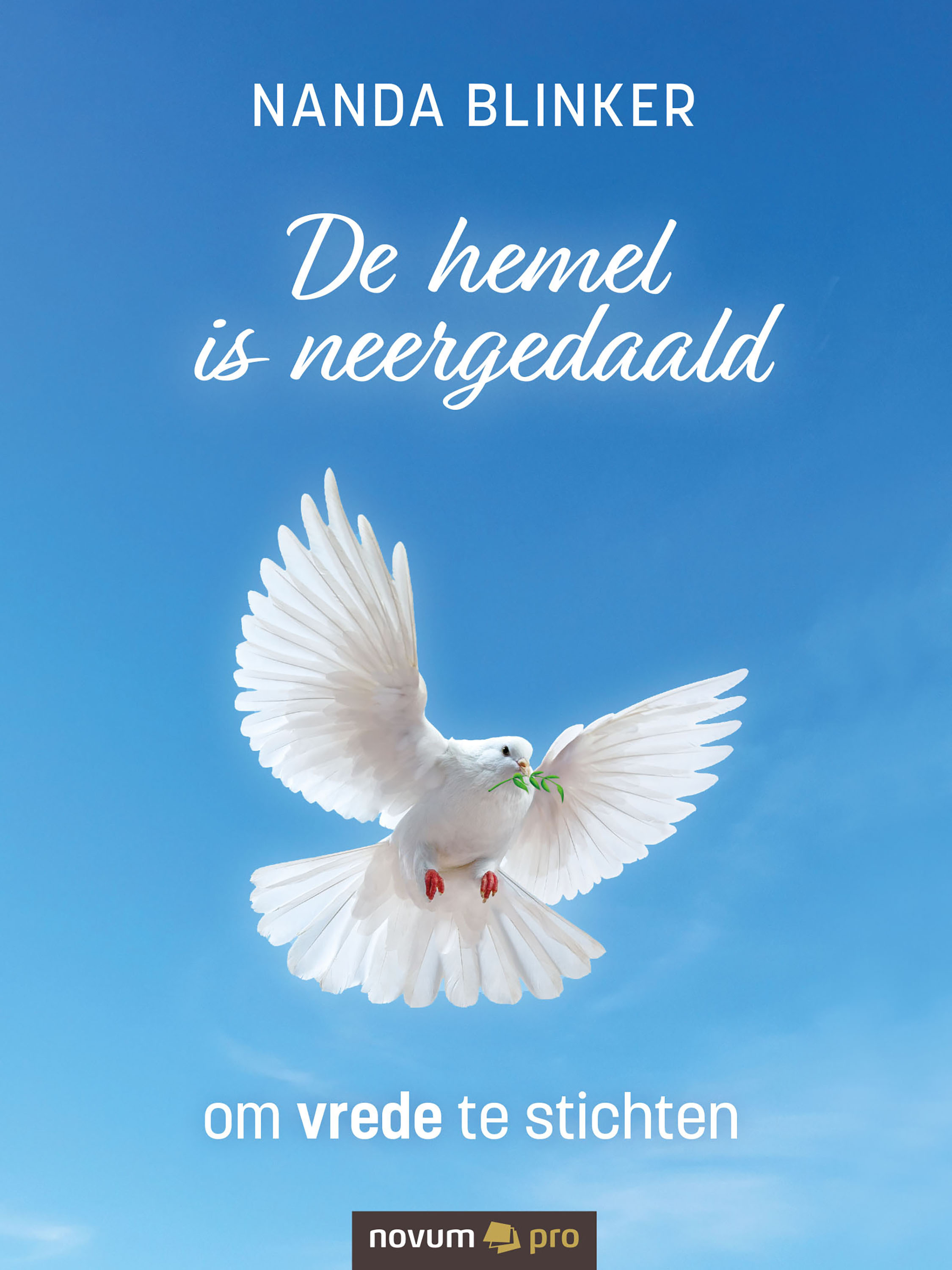 Обложка книги «De hemel is neergedaald»