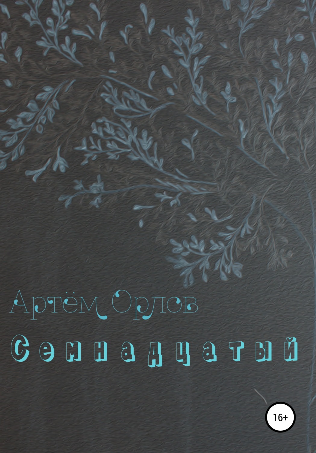 Обложка книги «Семнадцатый»