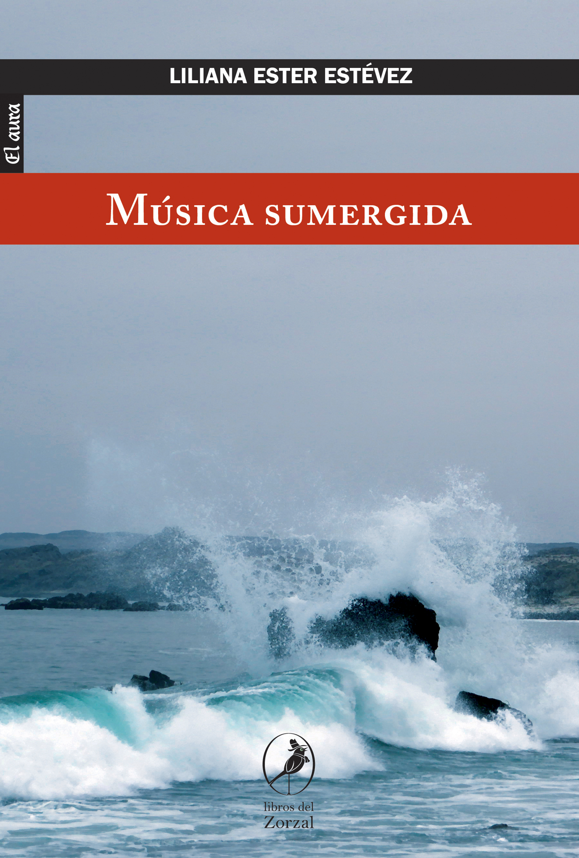 Обложка книги «Música sumergida»