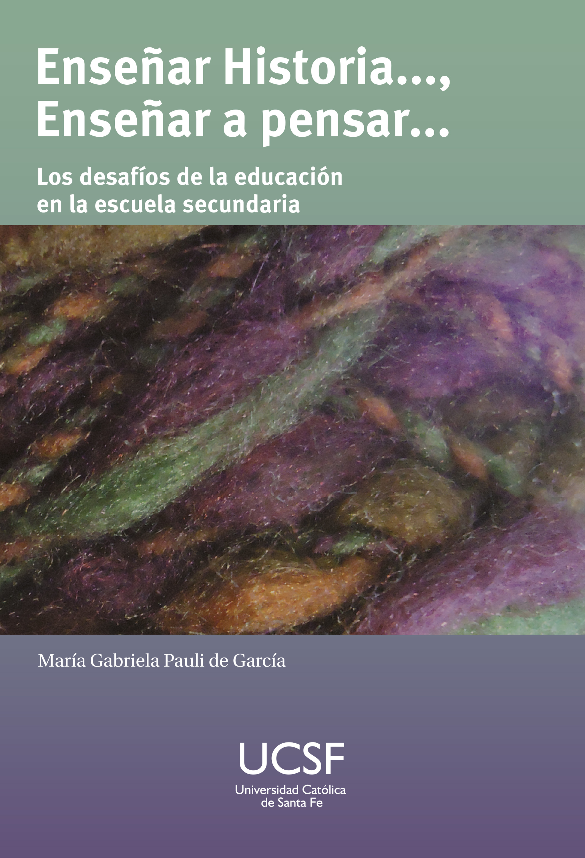 Обложка книги «Enseñar Historia...., enseñar a pensar»