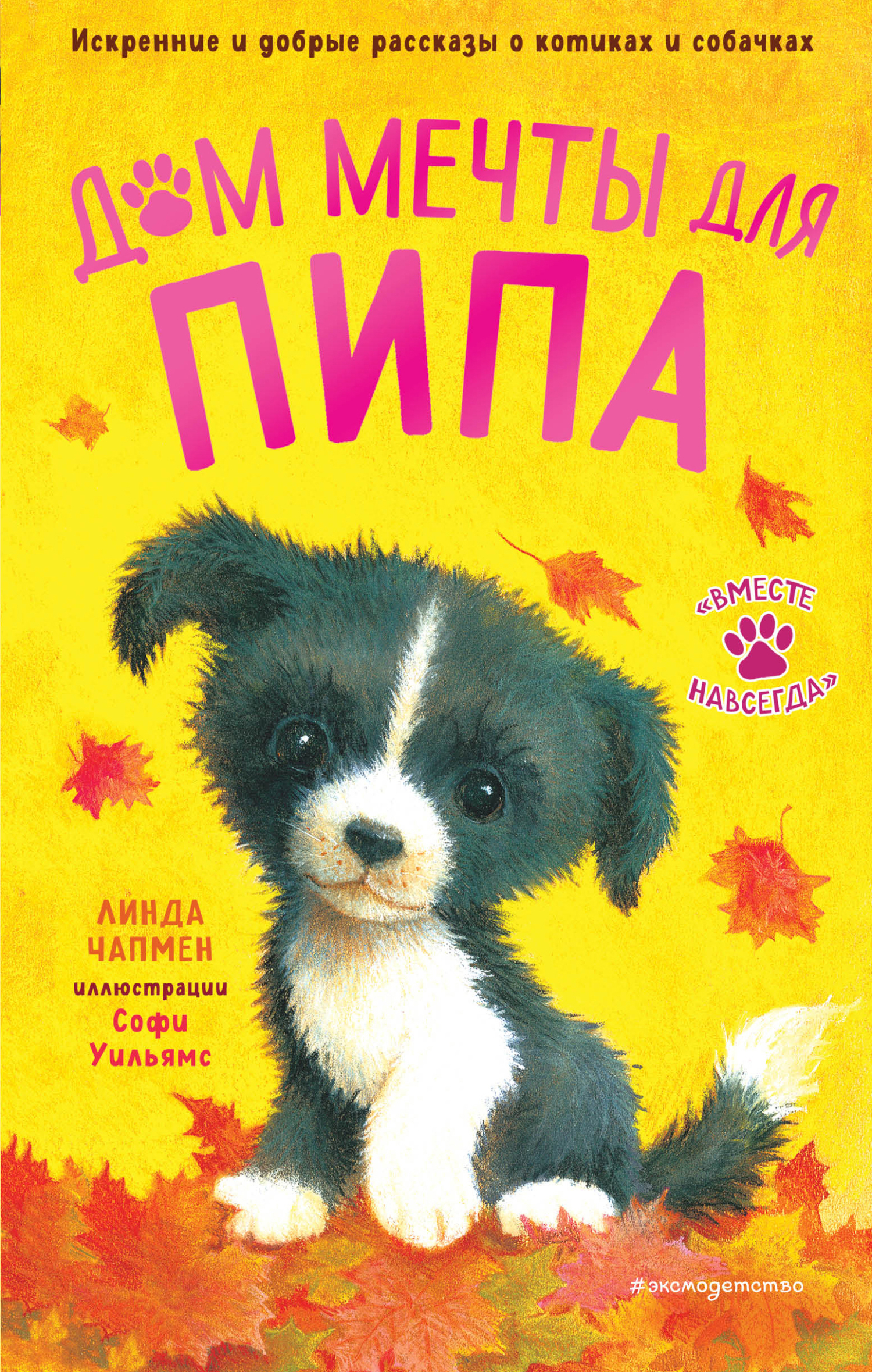 Обложка книги «Дом мечты для Пипа»