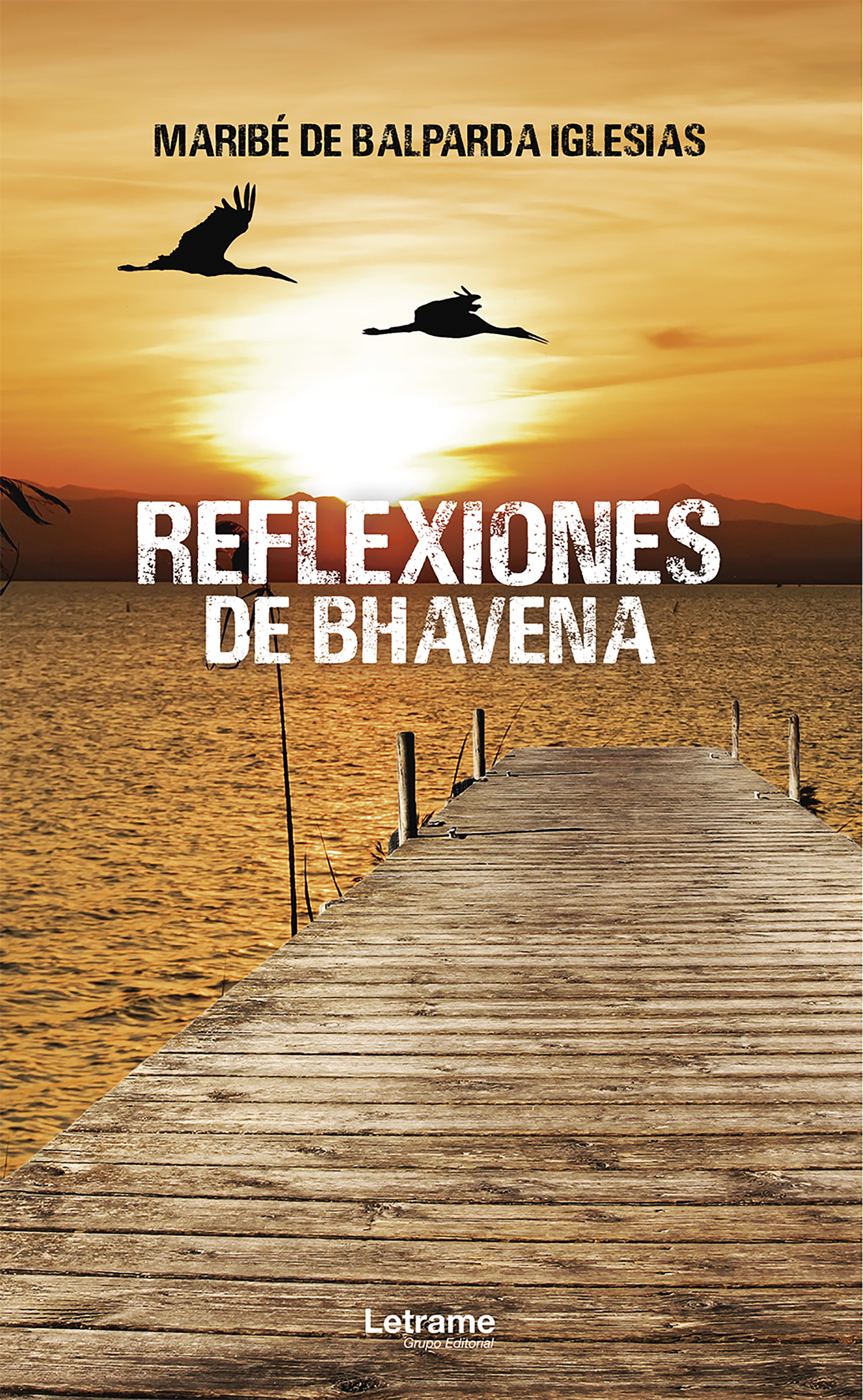 Обложка книги «Reflexiones de Bhavena»