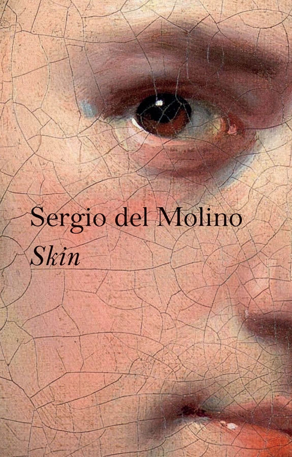 Обложка книги «Skin»