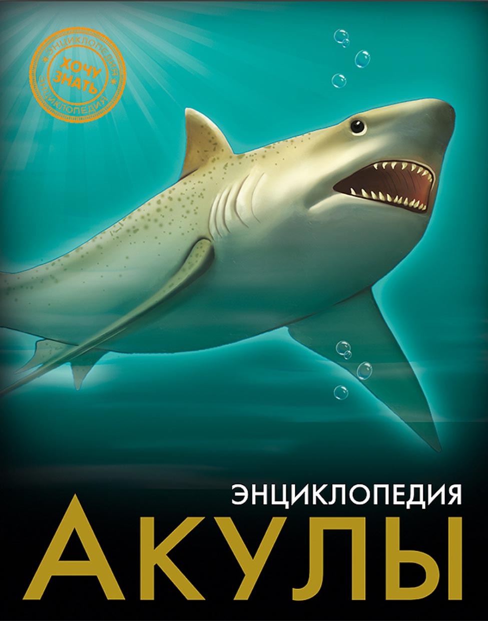 Обложка книги «Акулы»