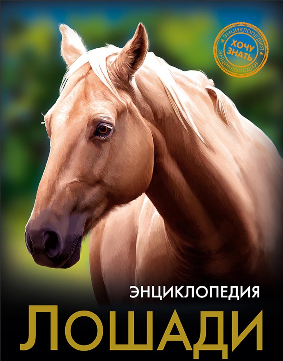 Обложка книги «Лошади»