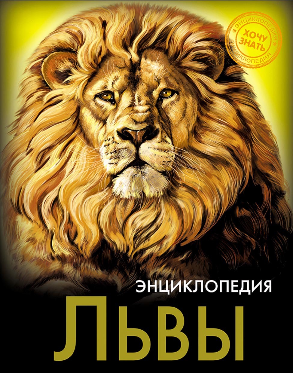 Обложка книги «Львы»