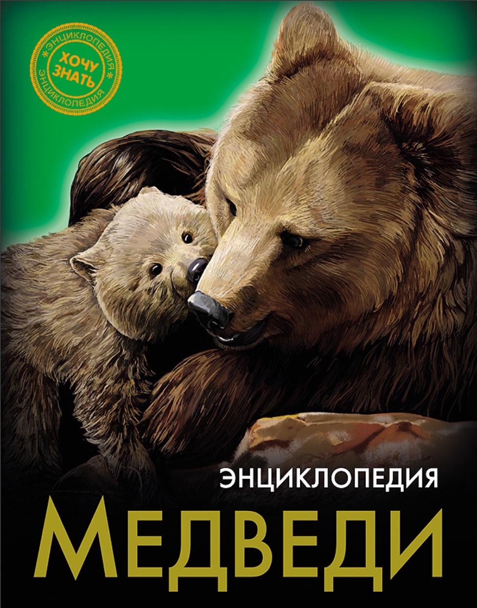 Обложка книги «Медведи»