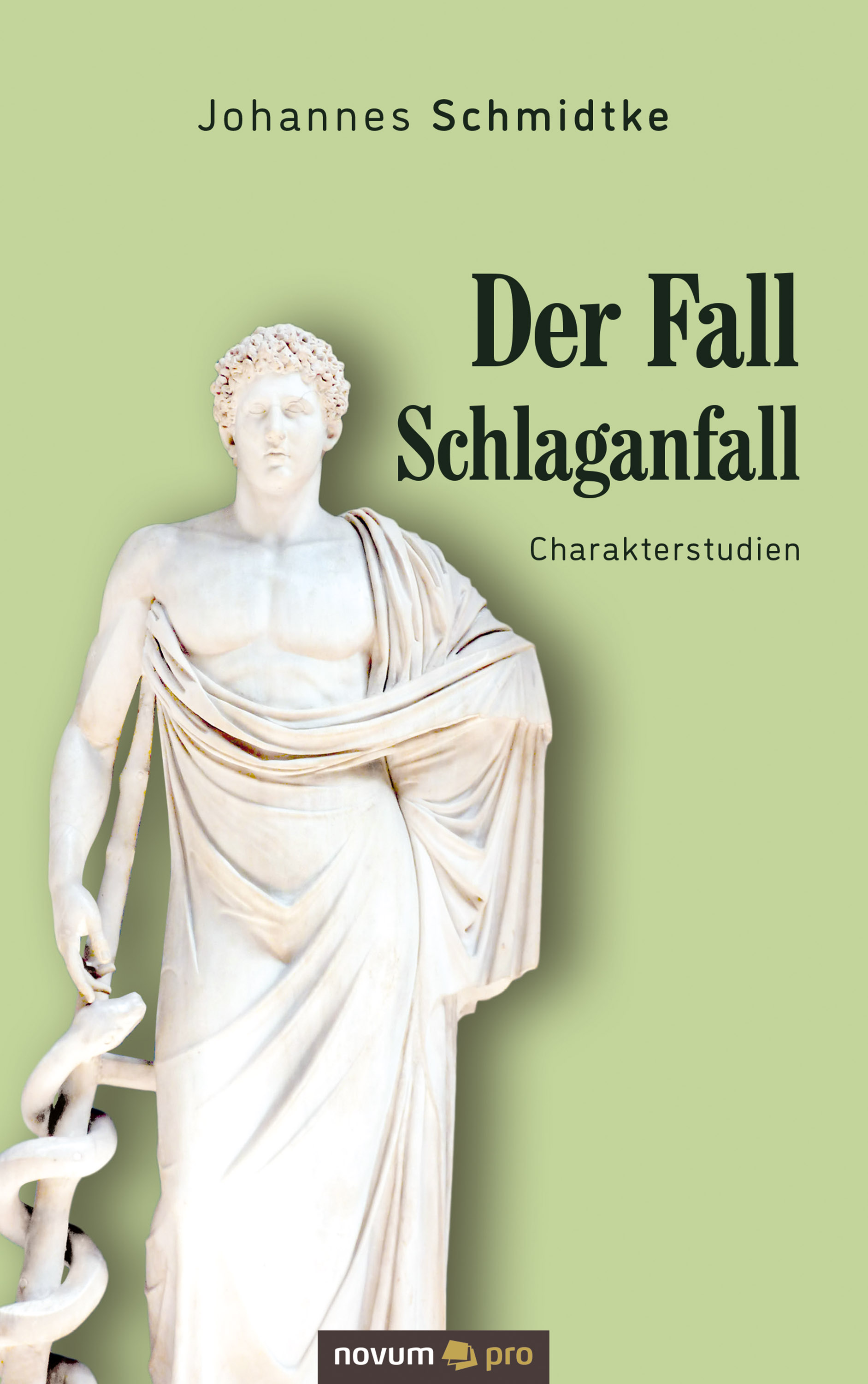 Обложка книги «Der Fall Schlaganfall»