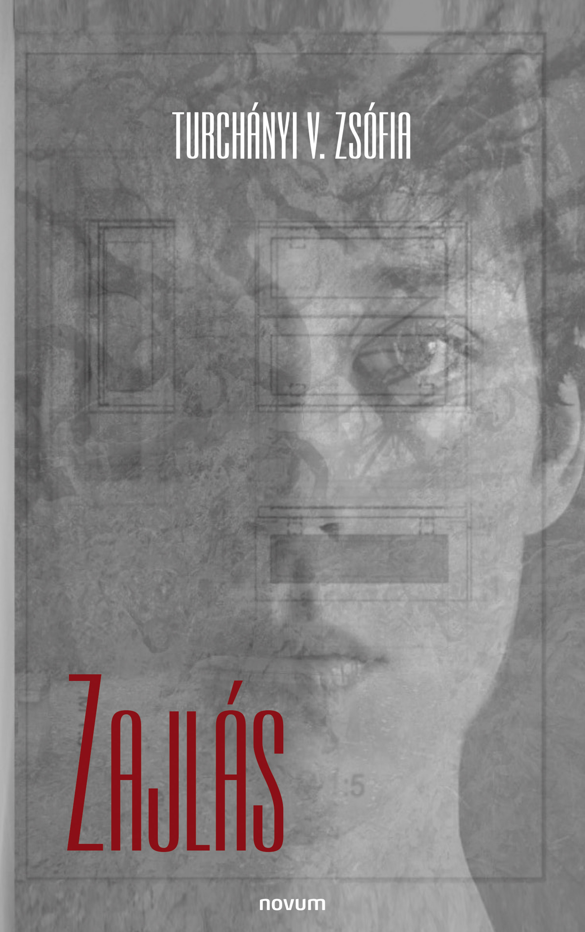 Обложка книги «Zajlás»