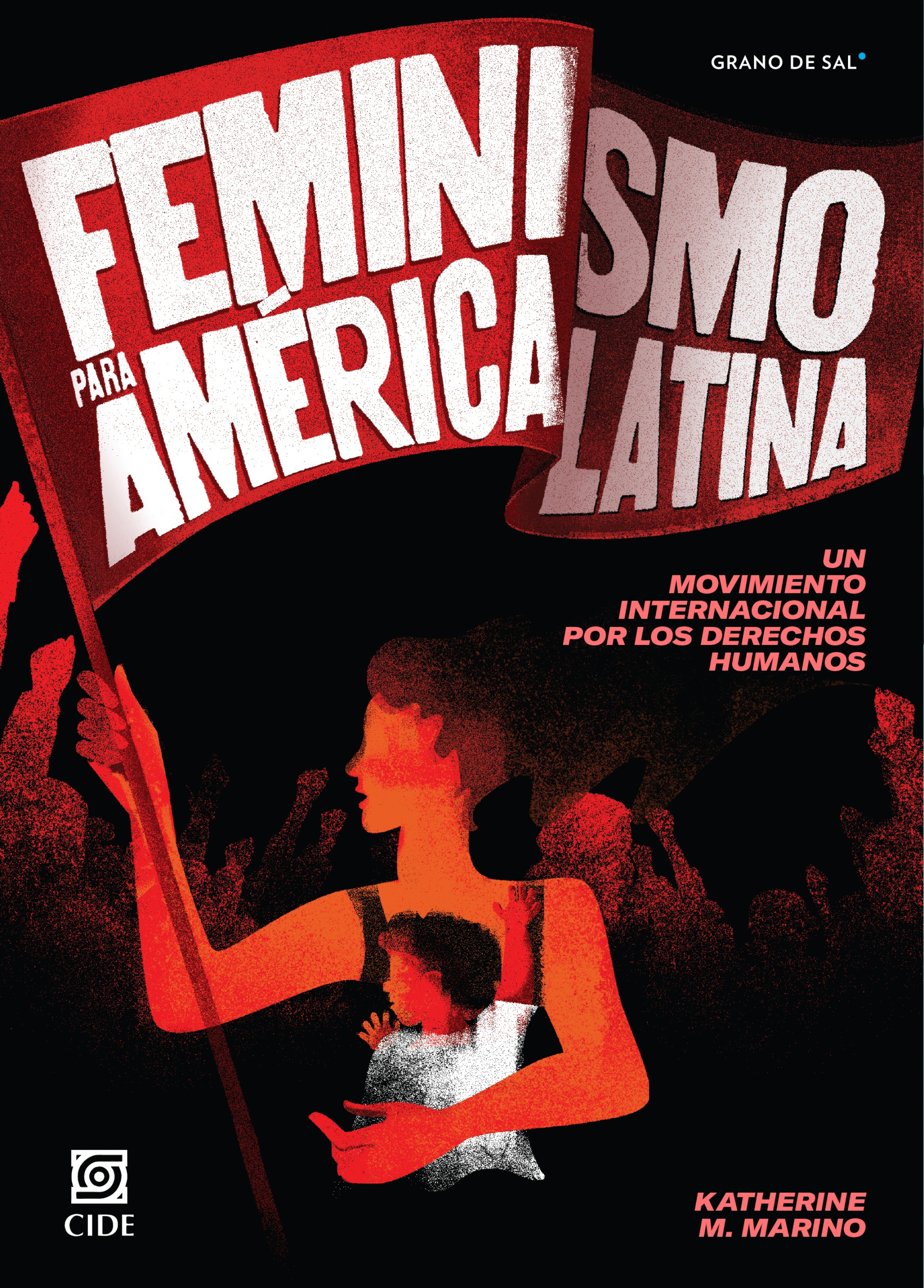 Обложка книги «Feminismo para América Latina»
