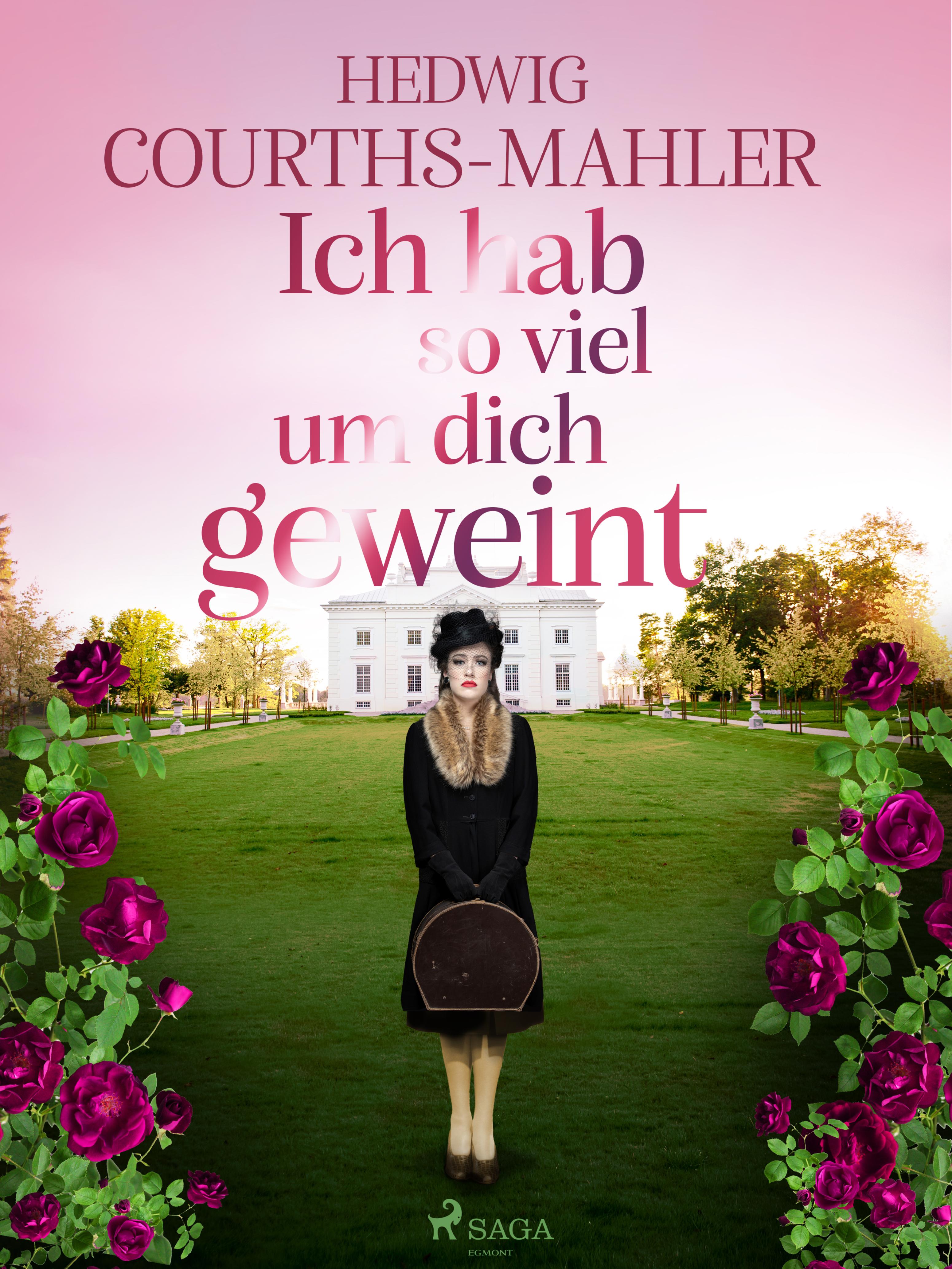 Обложка книги «Ich hab so viel um dich geweint»