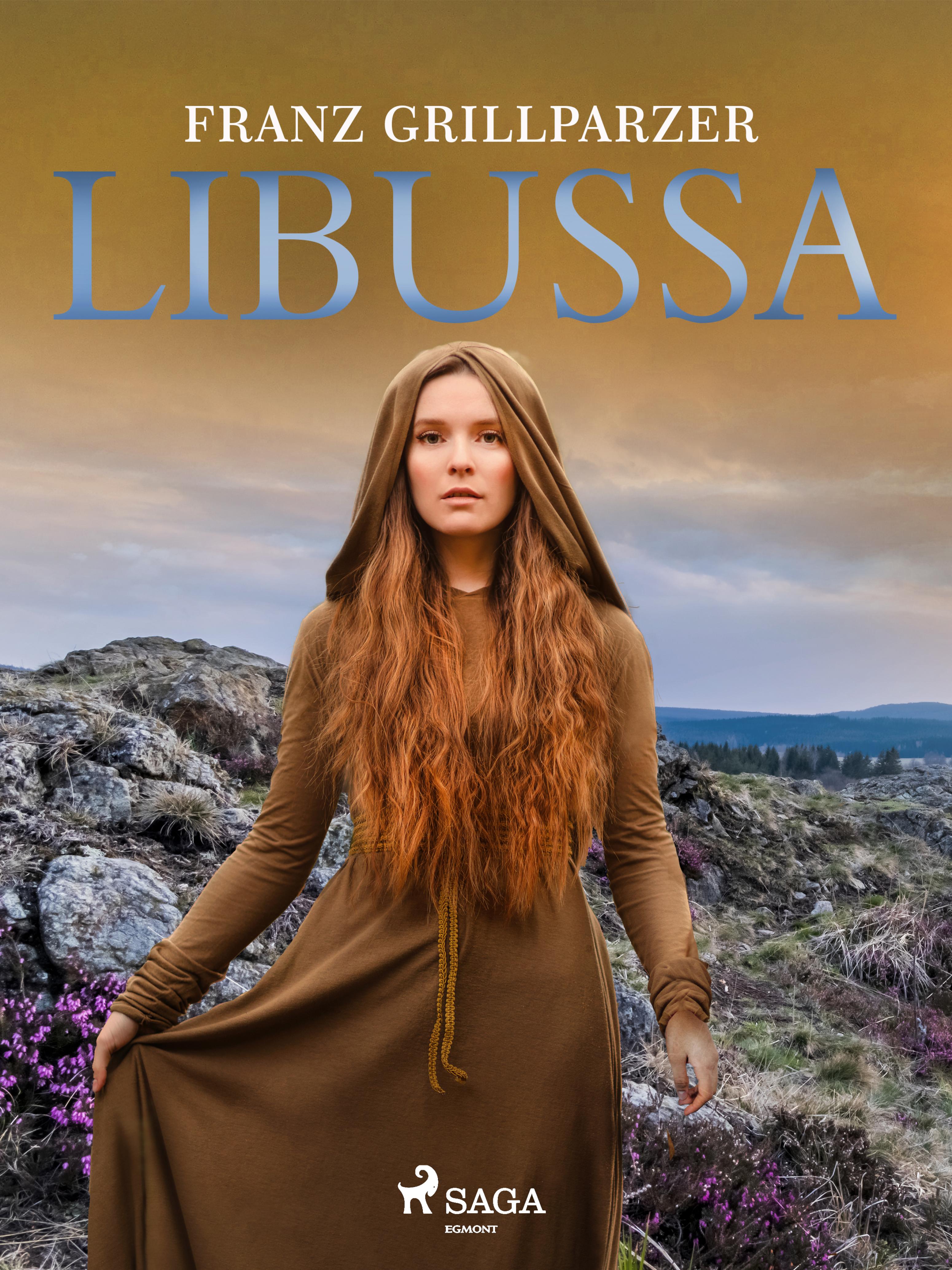 Обложка книги «Libussa»