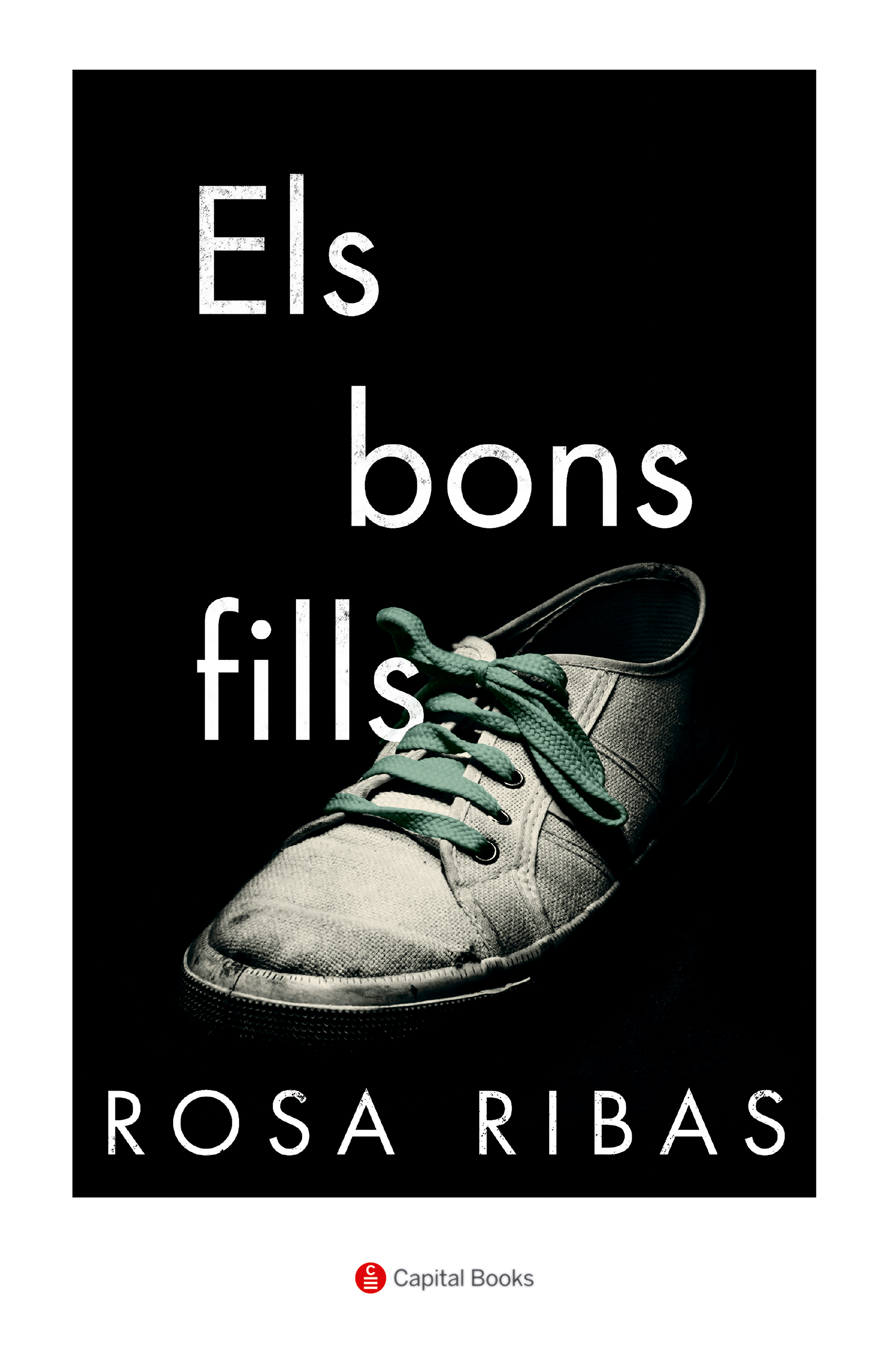 Обложка книги «Els bons fills»