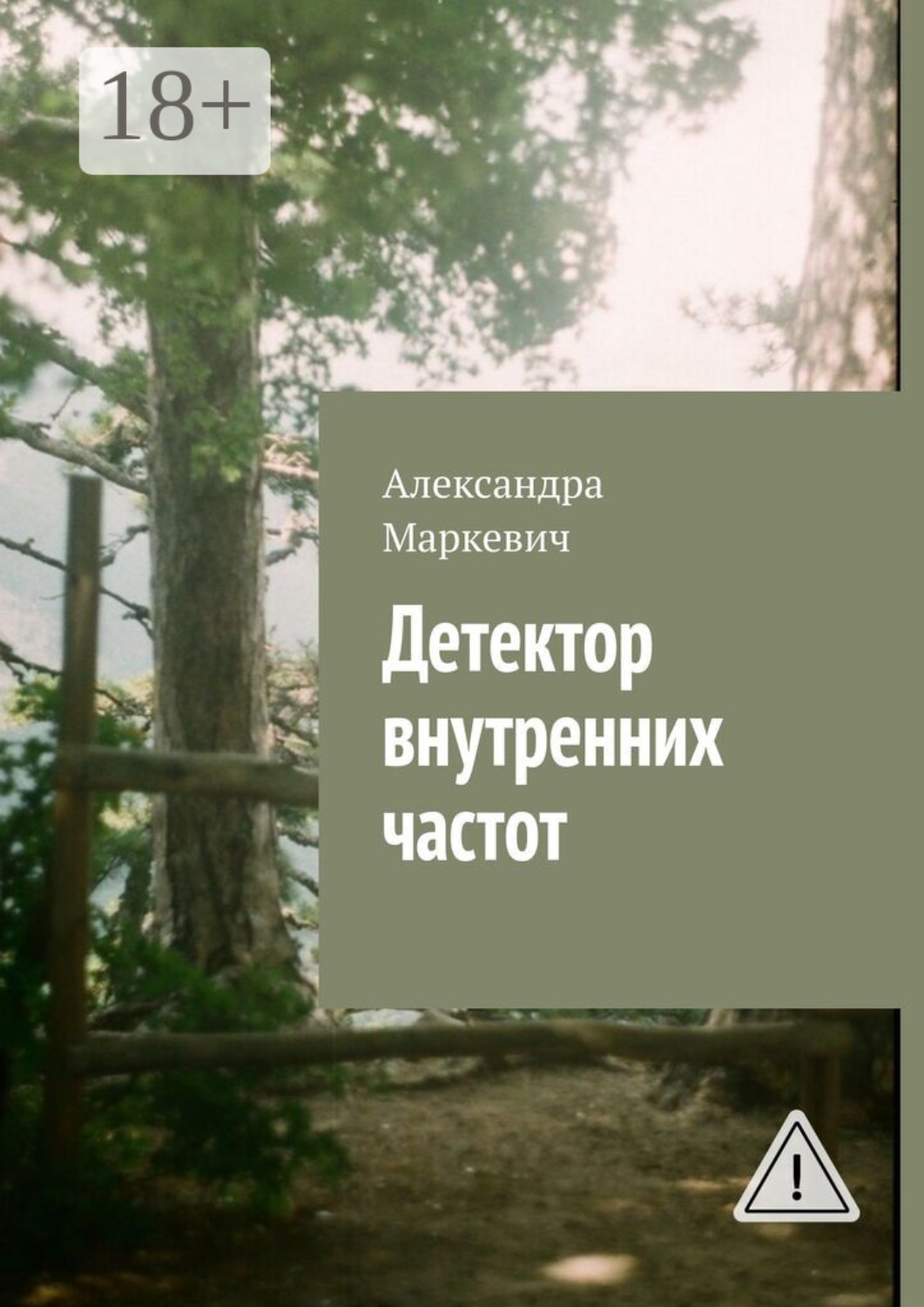 Обложка книги «Детектор внутренних частот»