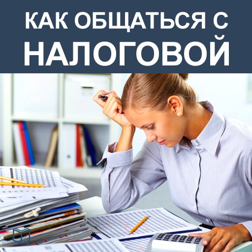 Обложка книги «Как общаться с Налоговой»
