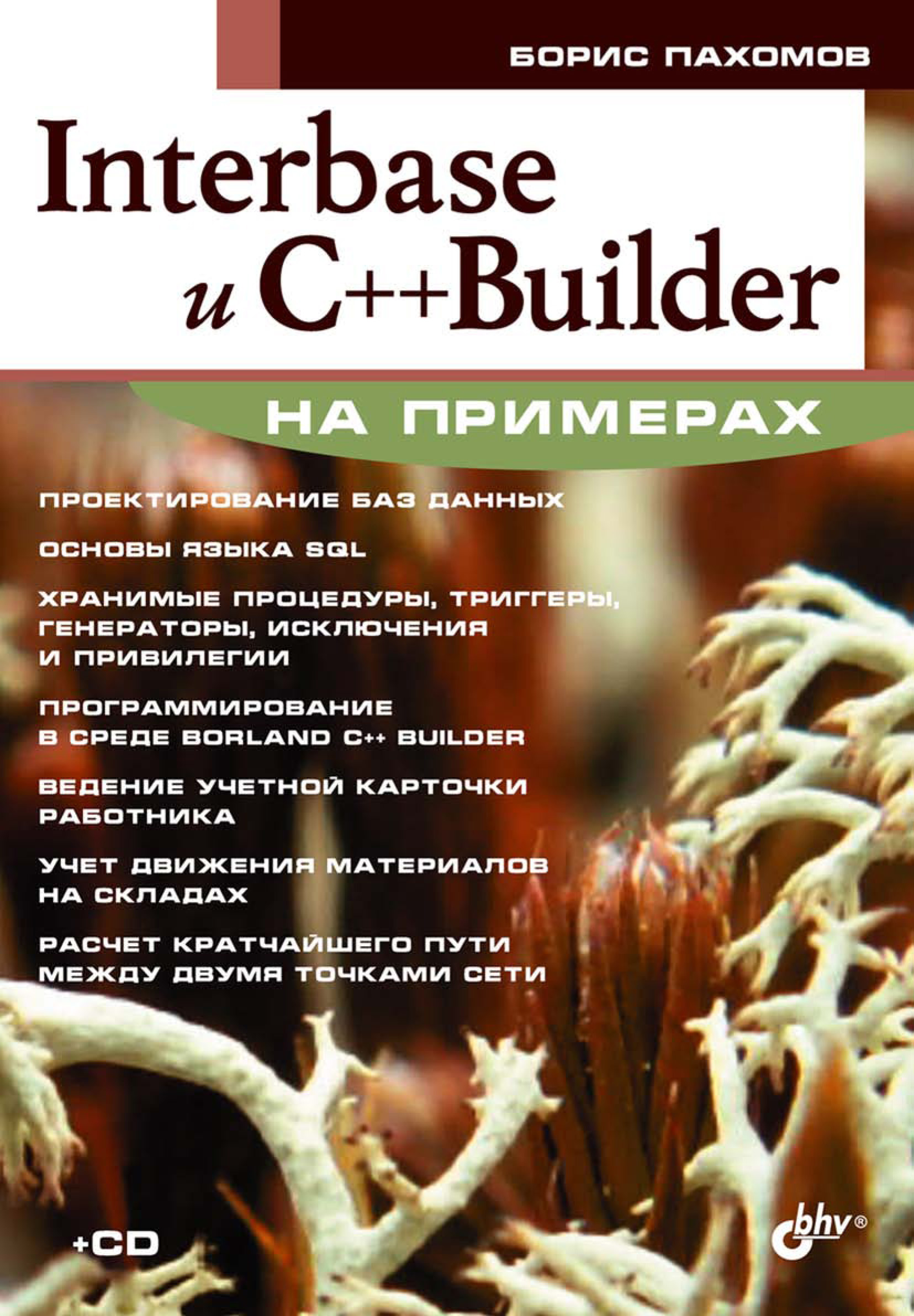Обложка книги «Interbase и С++ Builder на примерах»
