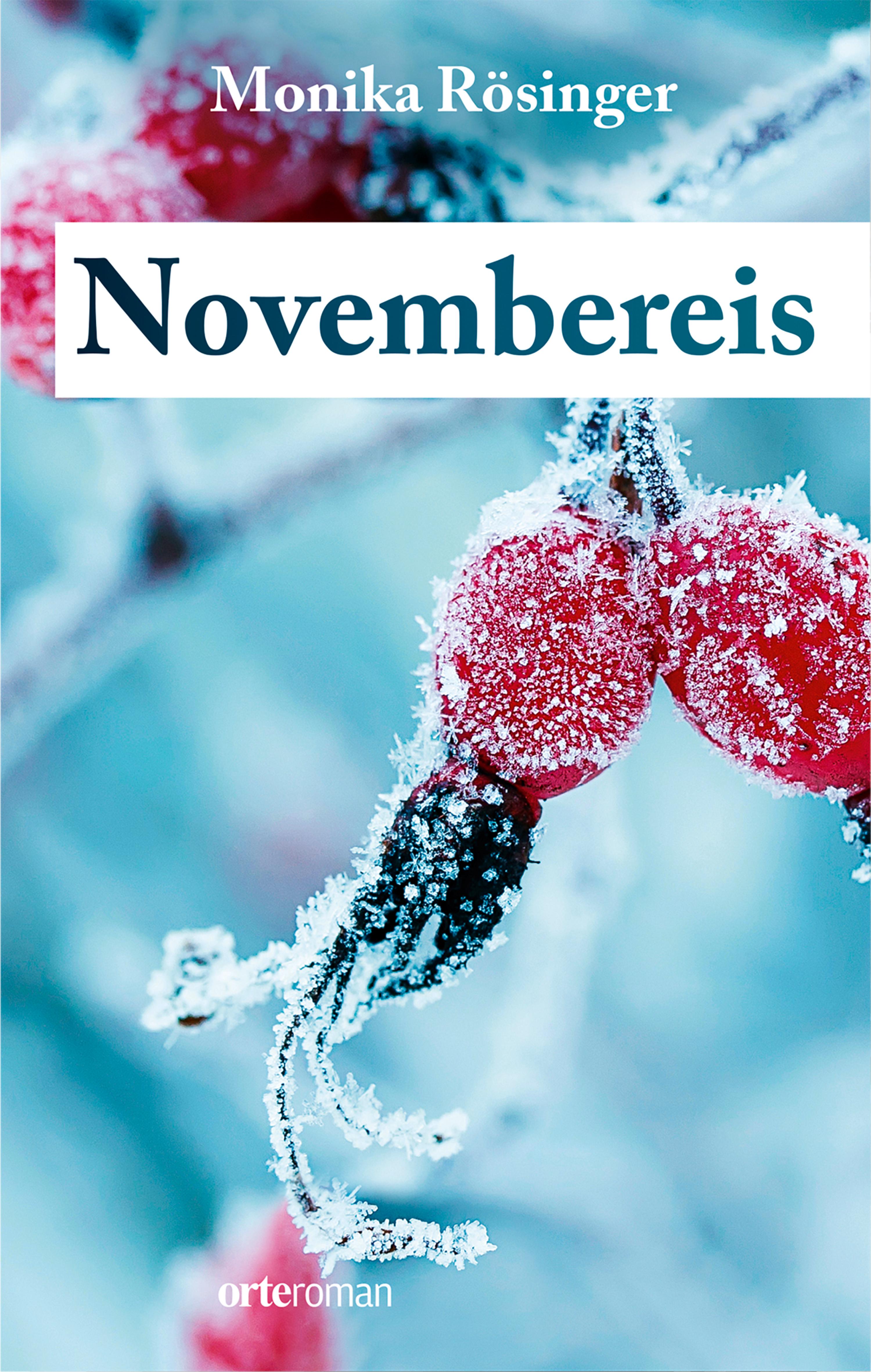 Обложка книги «Novembereis»