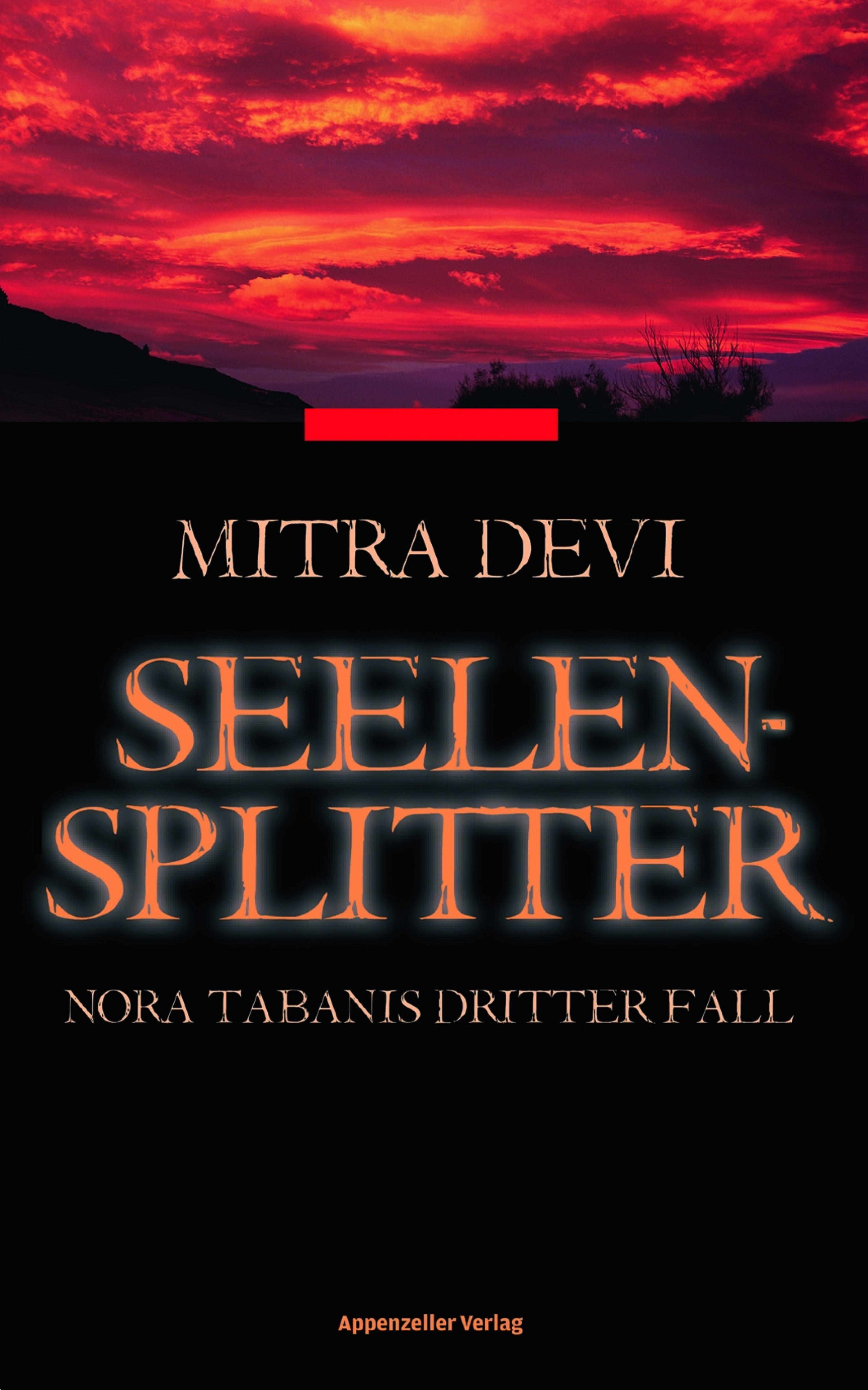Обложка книги «Seelensplitter»