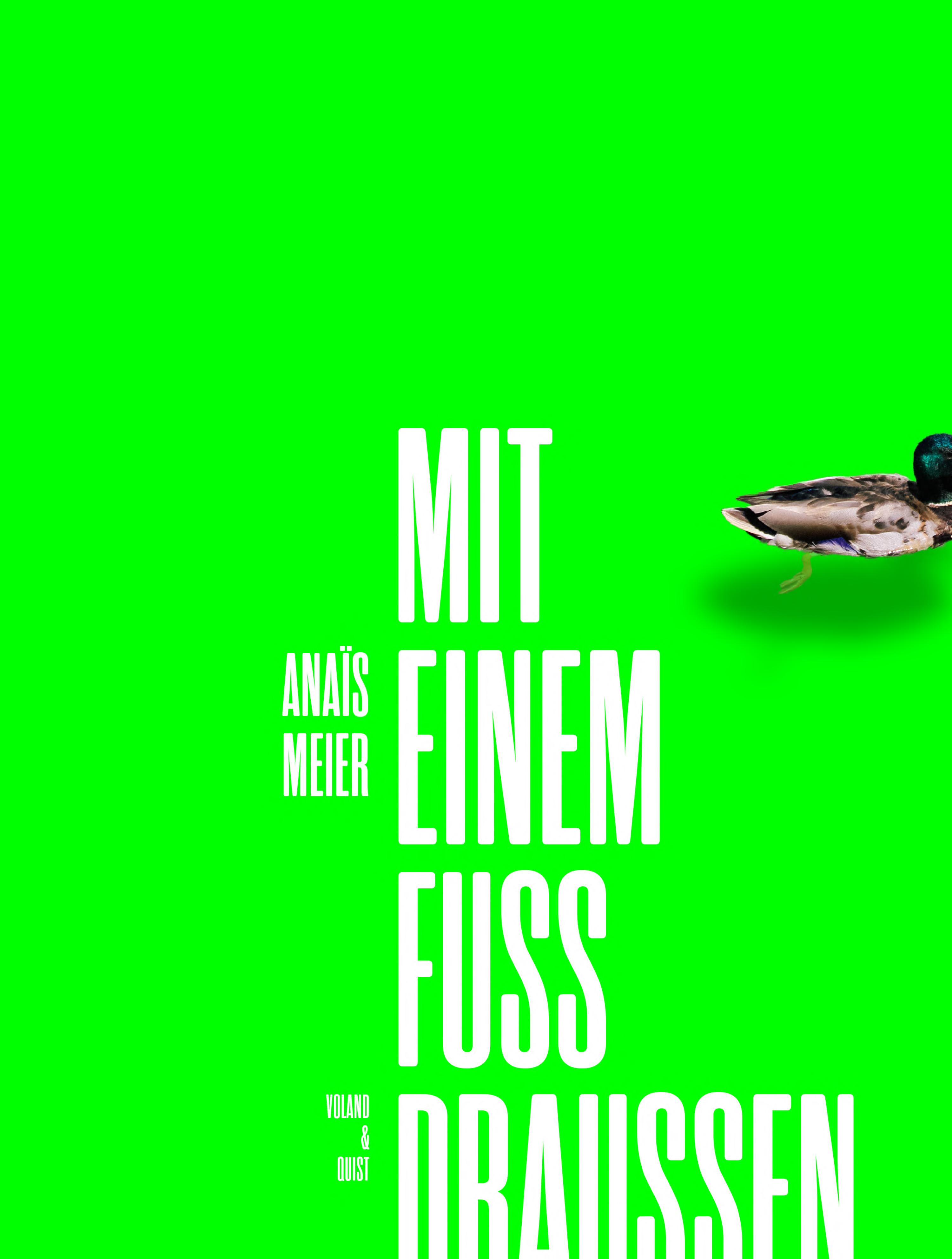 Обложка книги «Mit einem Fuss draussen»