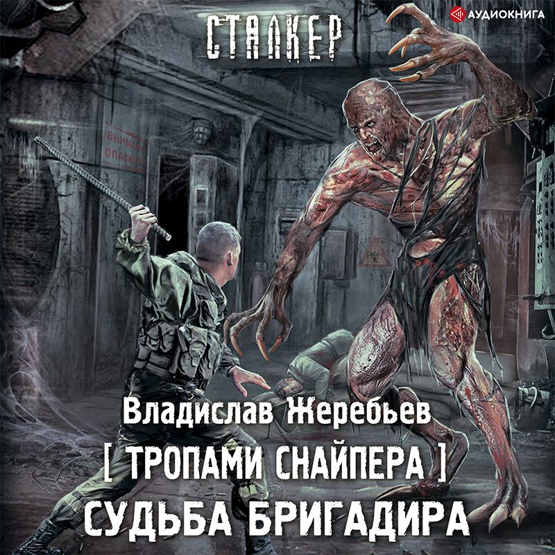 Обложка книги «Тропами Снайпера. Судьба Бригадира»